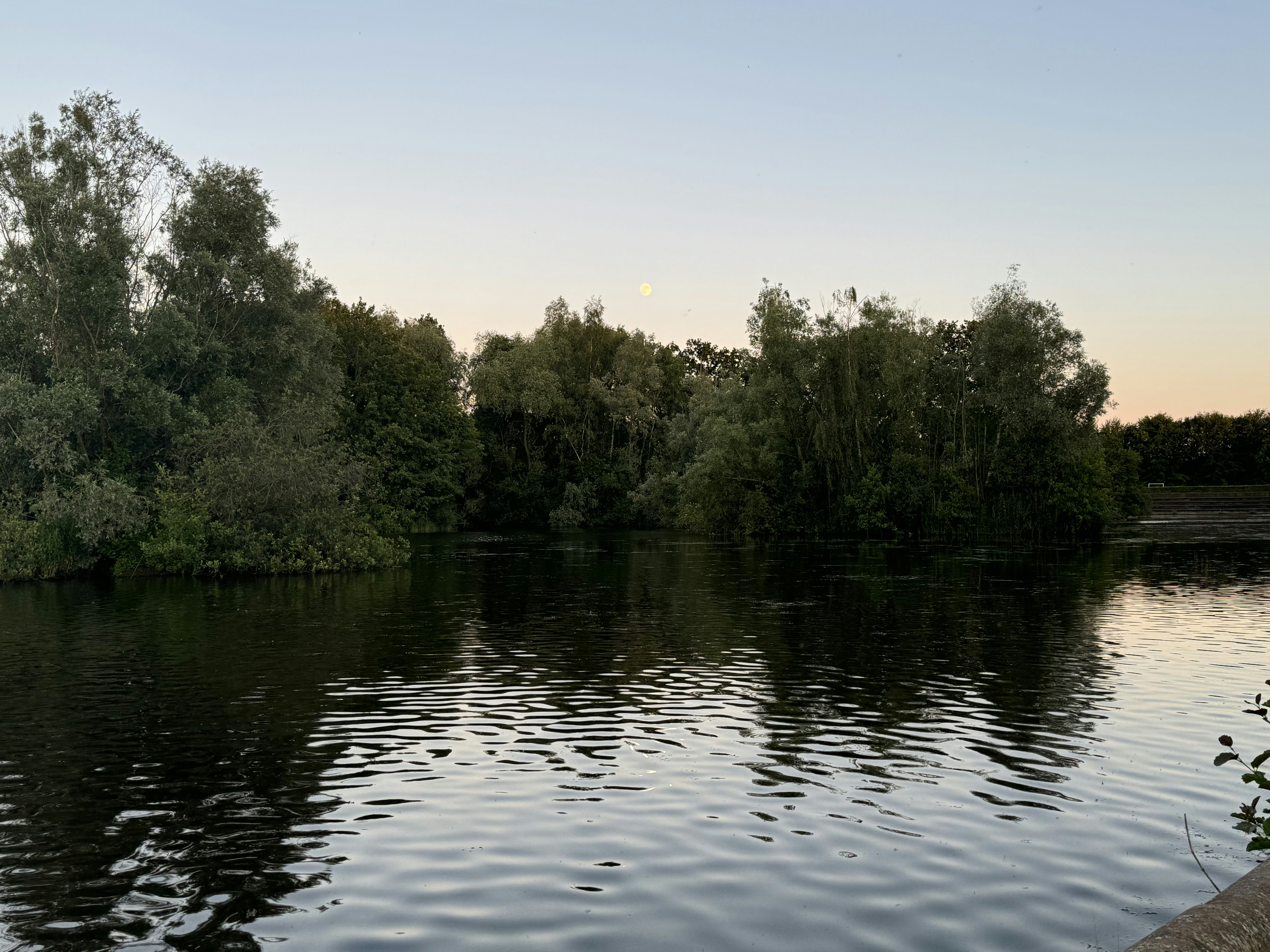A body of water with trees in the background