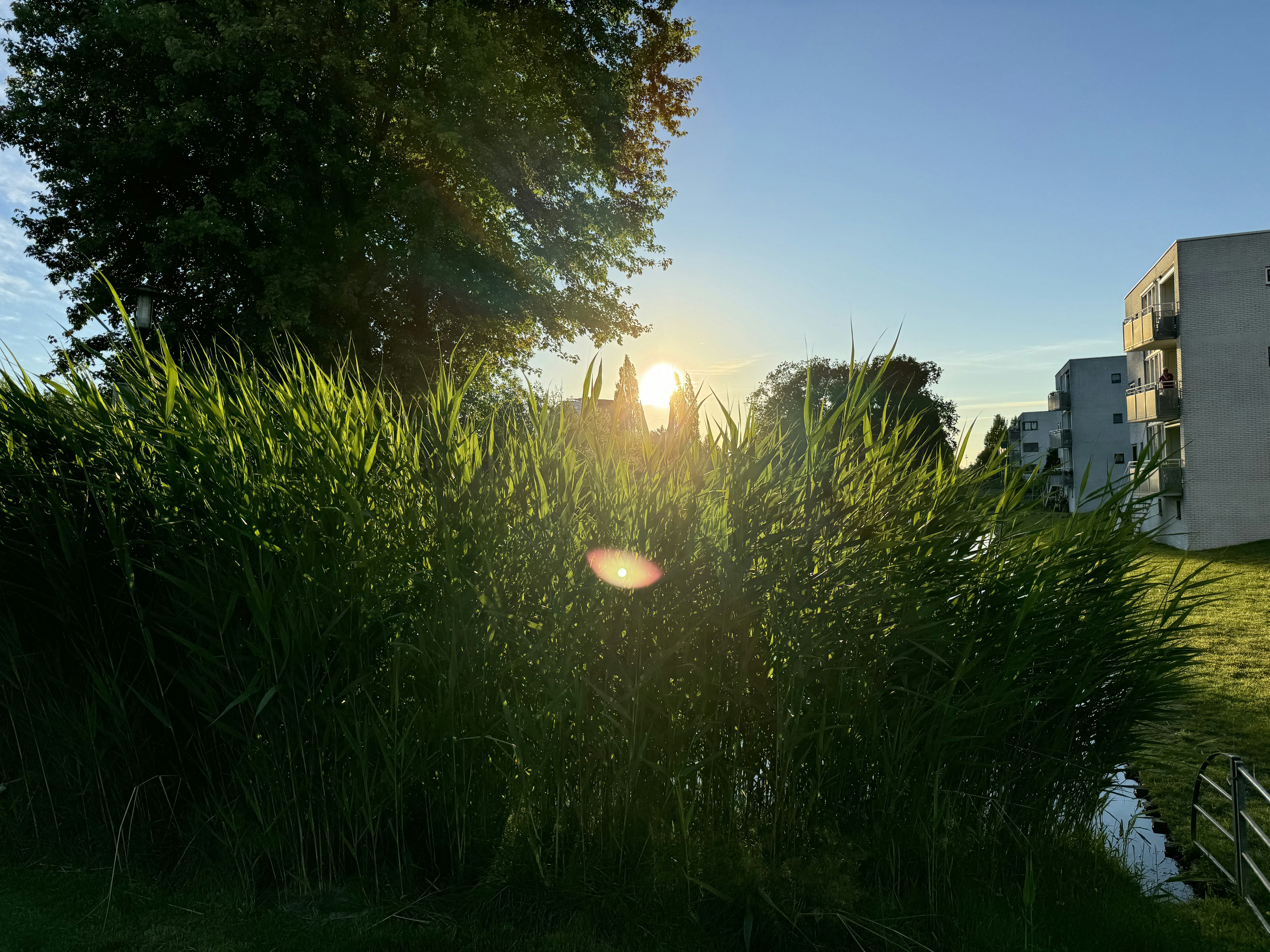 BuurtNatuurtuin Melange