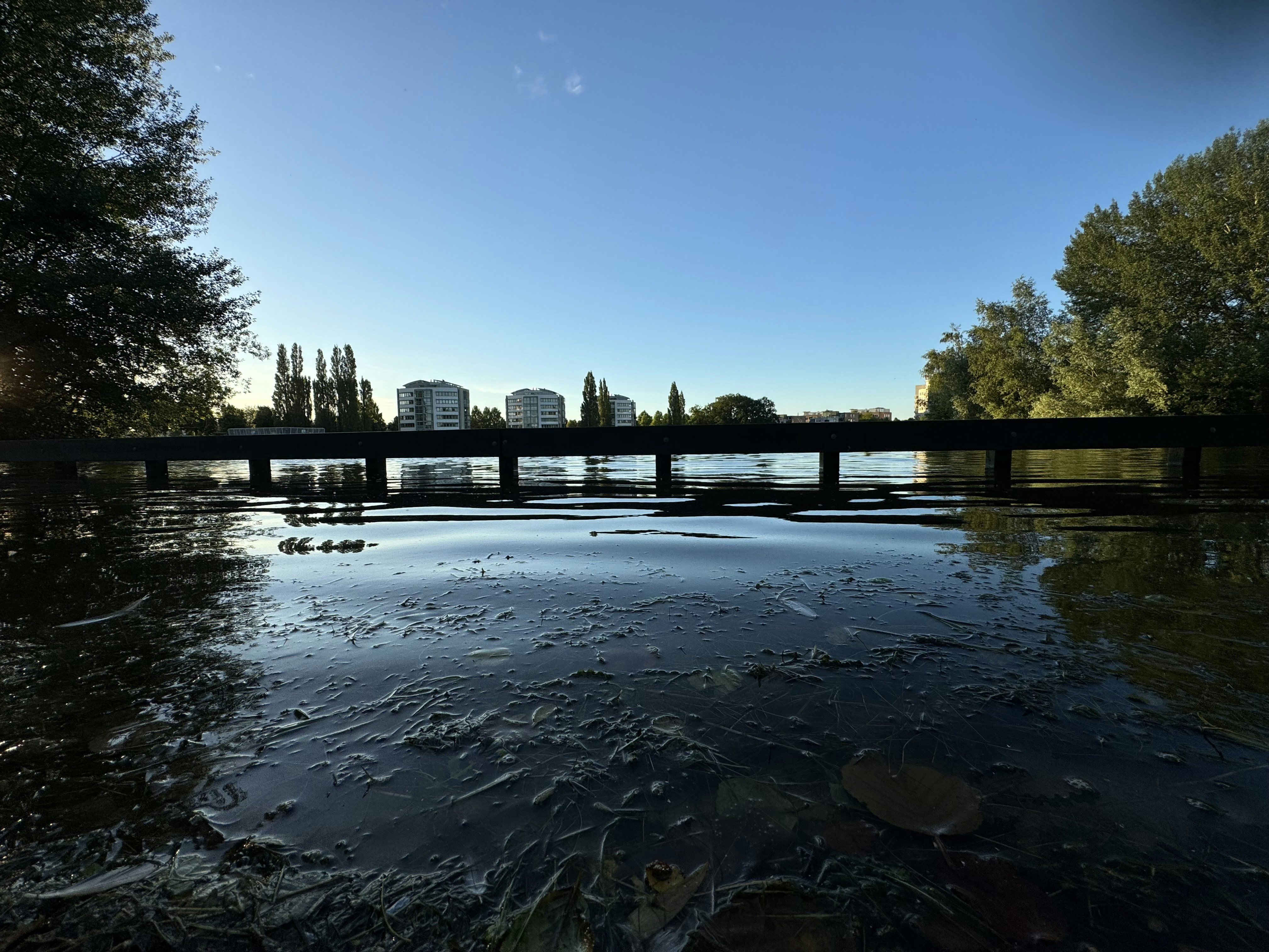 A bridge over a body of water with trees in the background