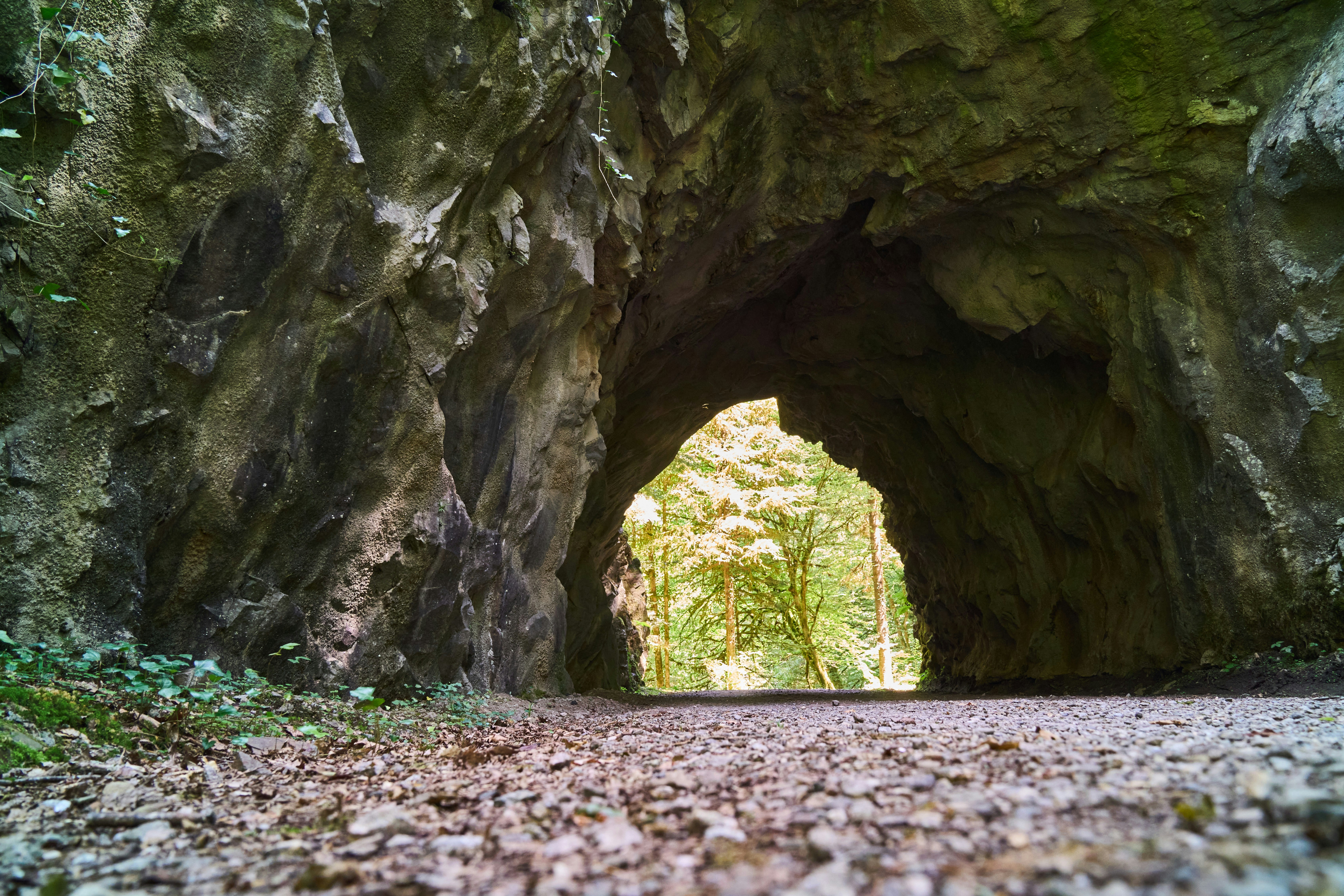 Photo by wolfgang_hasselmann