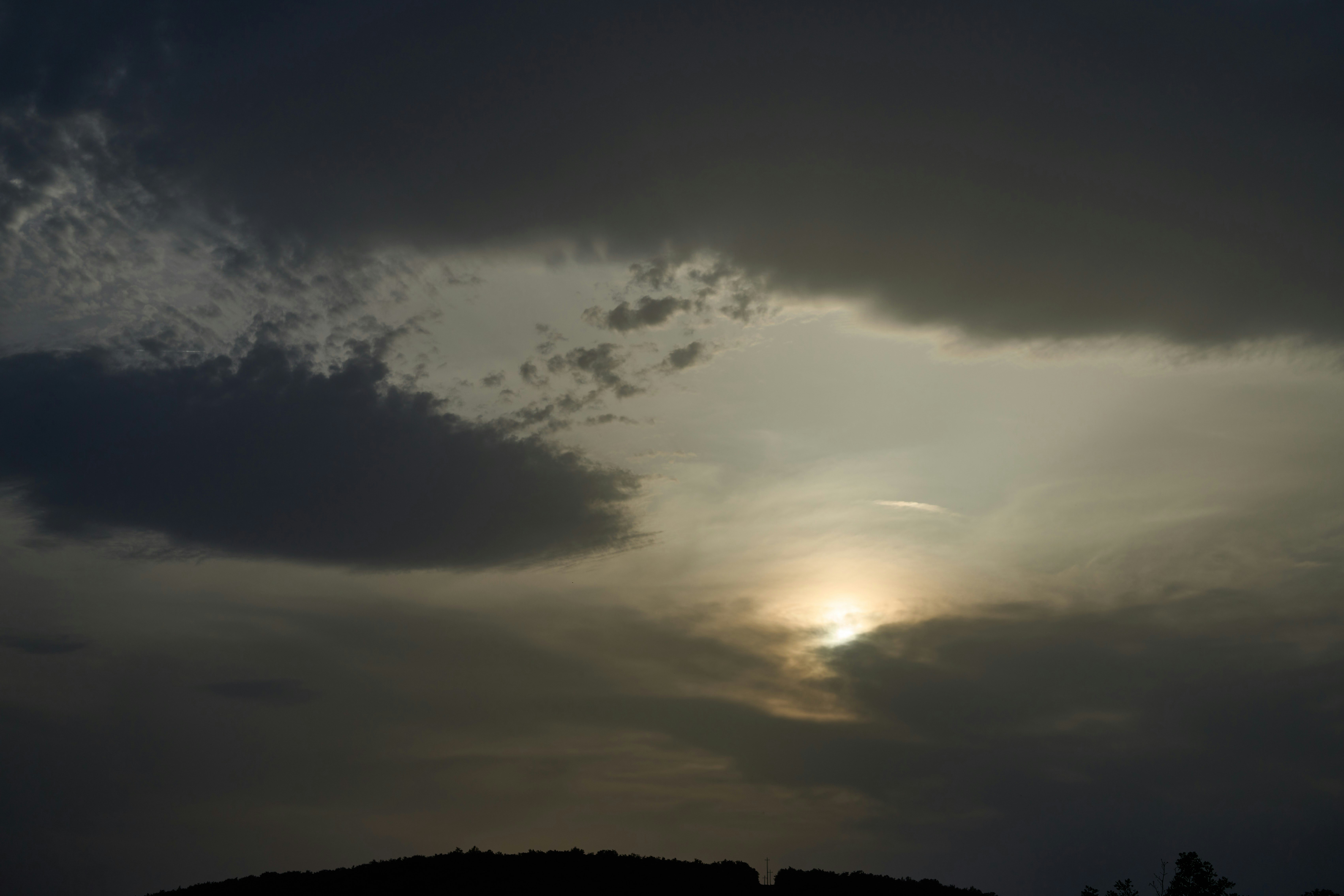 Photo by wolfgang_hasselmann