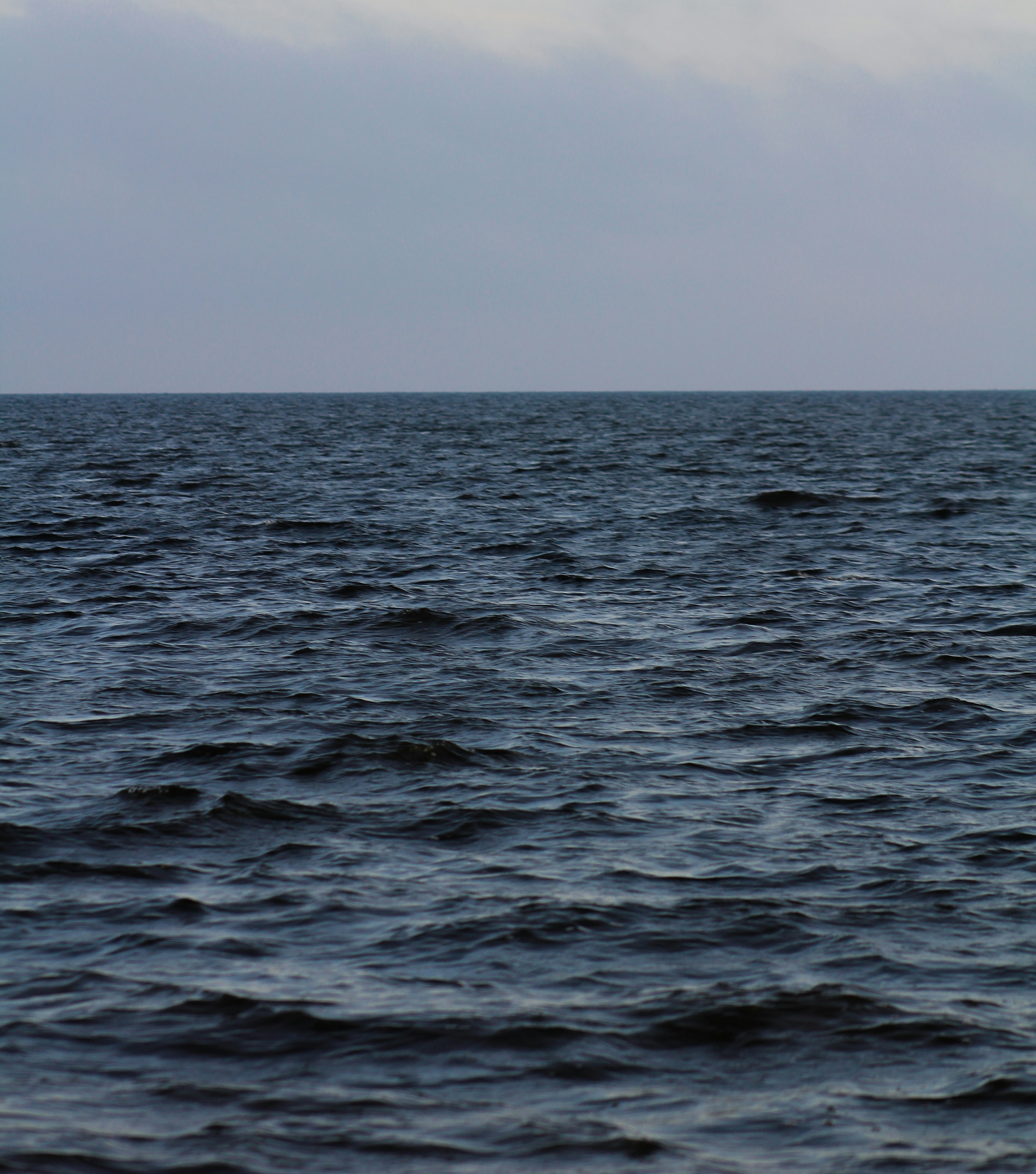 Photo by charlysey278