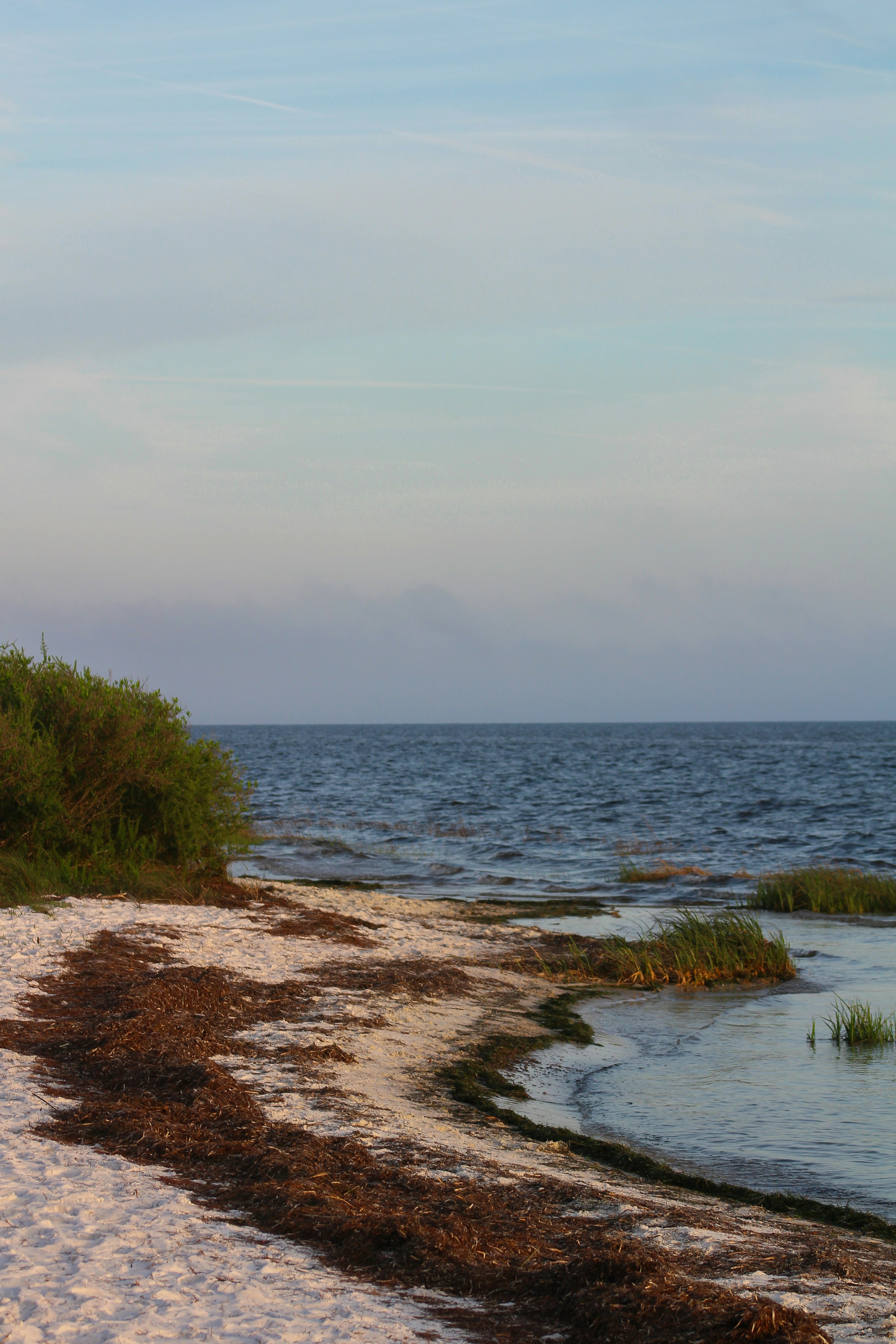 Photo by charlysey278