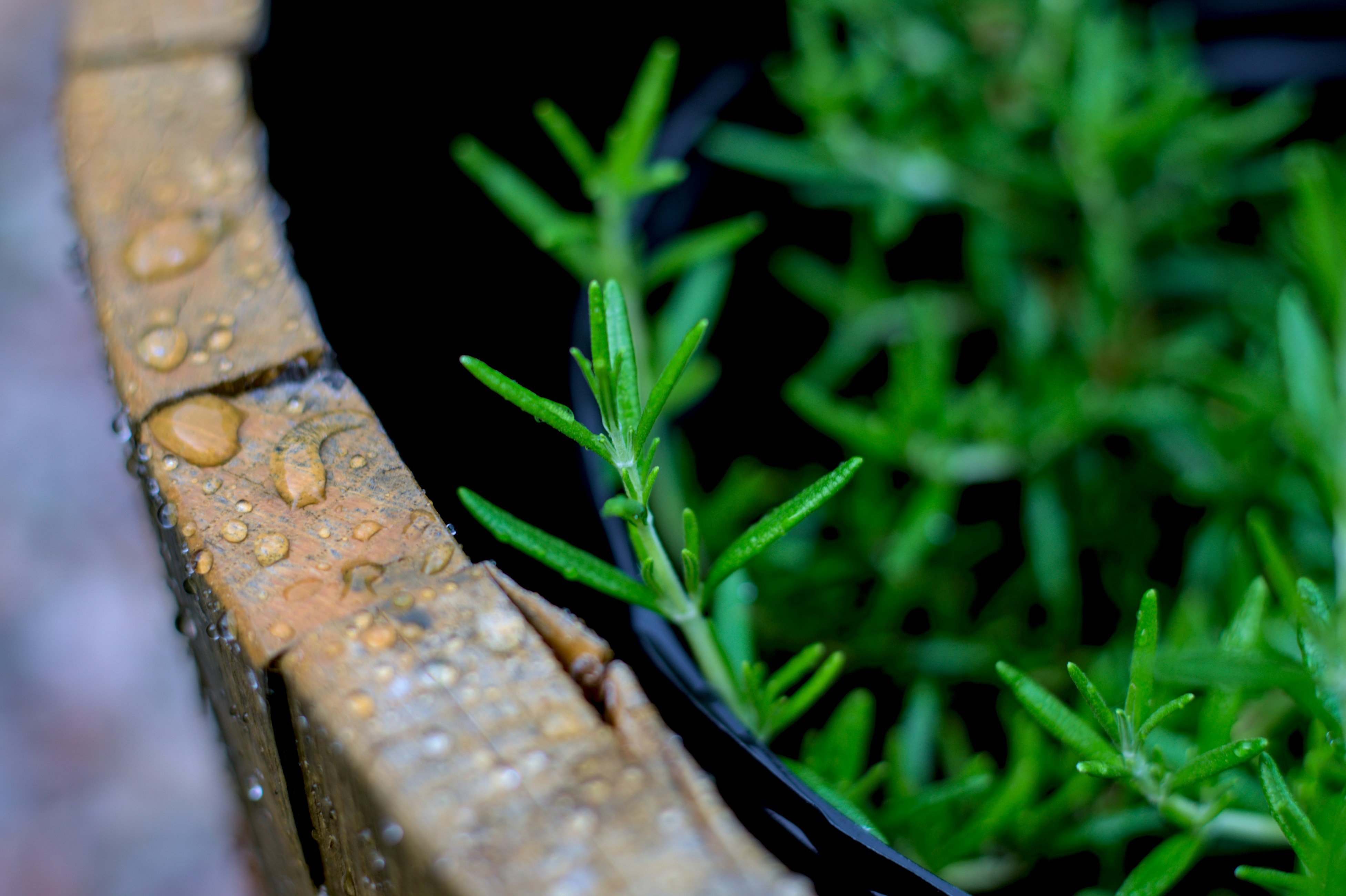 photo 1719355389837 8ee22ca203bb?crop=entropy&cs=tinysrgb&fit=max&fm=jpg&ixid=M3w1MjQ0NjR8MHwxfHNlYXJjaHwxNXx8V2F0ZXIlMjBiYXJyZWxzfGVufDB8MHx8fDE3NTE0NTc4MTB8MA&ixlib=rb 4.1