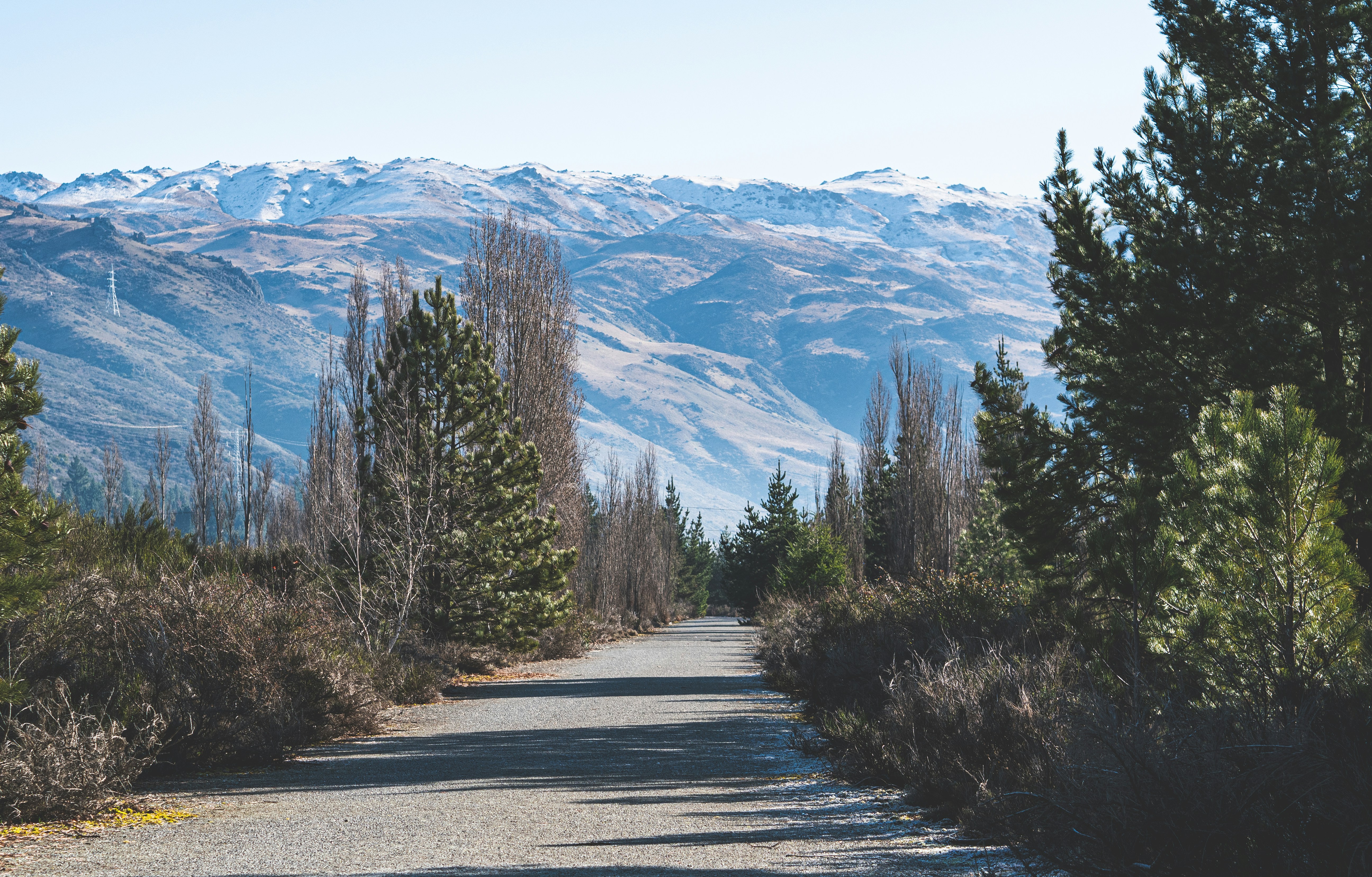 A dirt road surrounded by trees and mountains