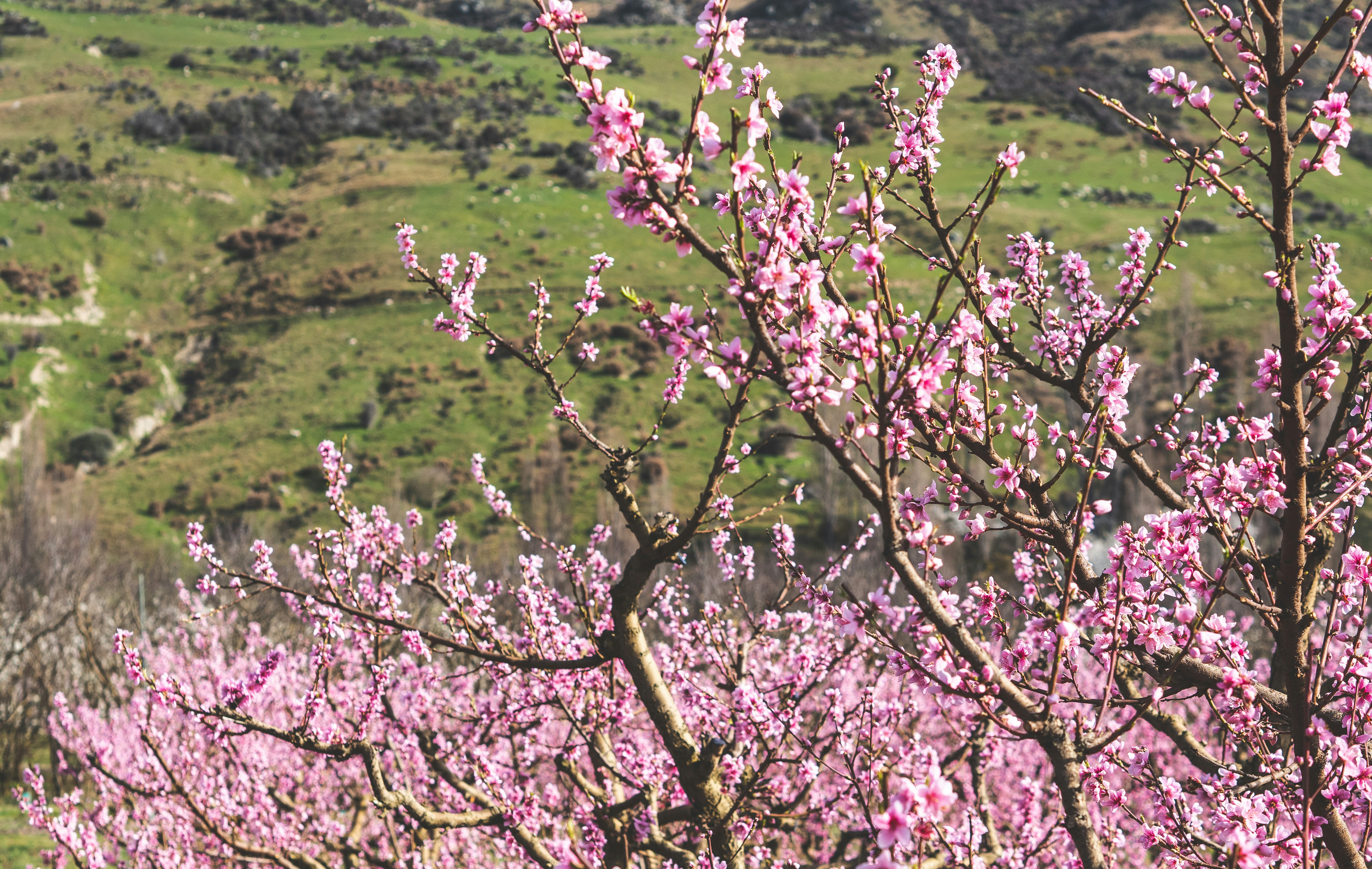 Beitou geothermal walk