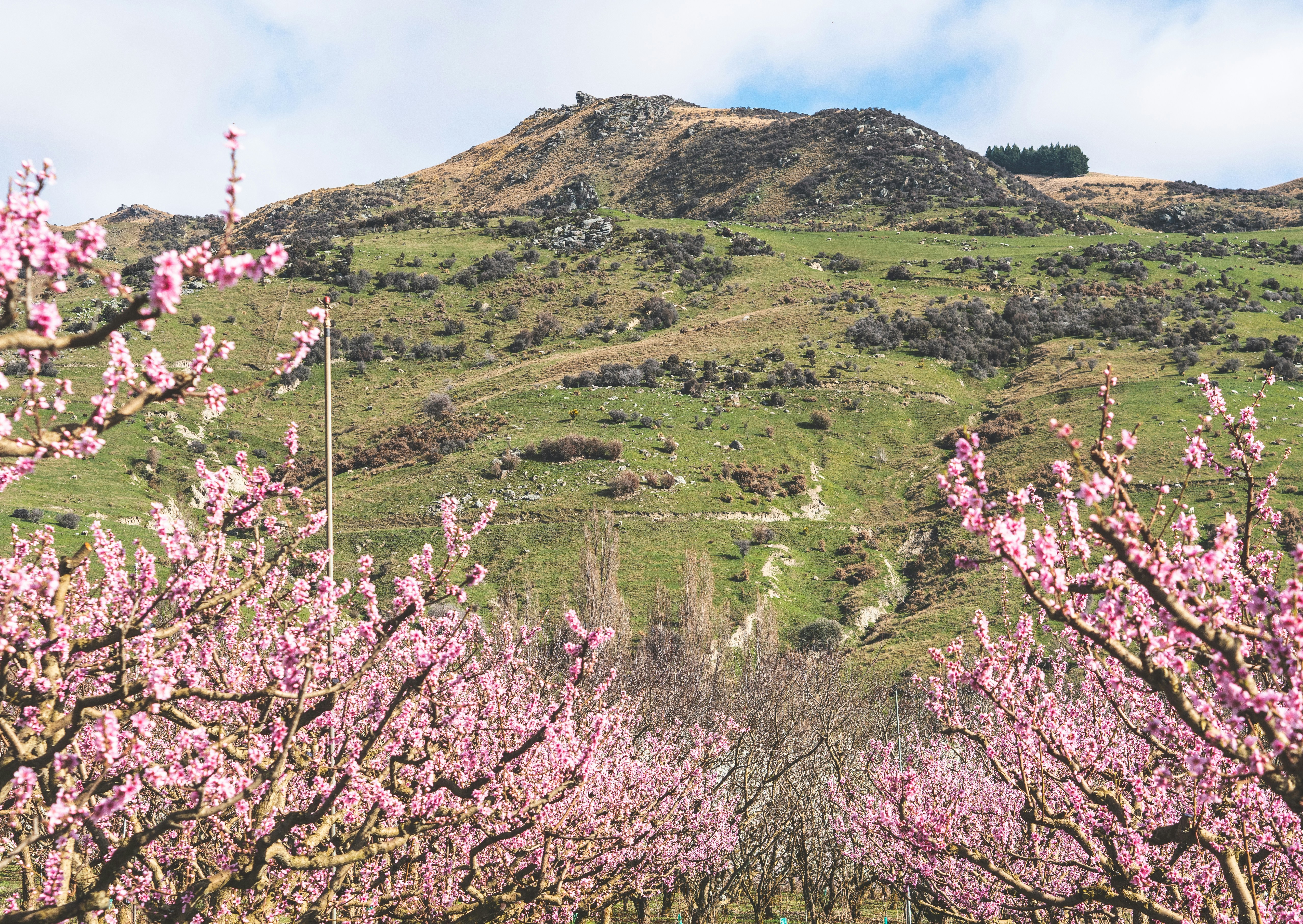 Image by Tonia Kraakman via Unsplash