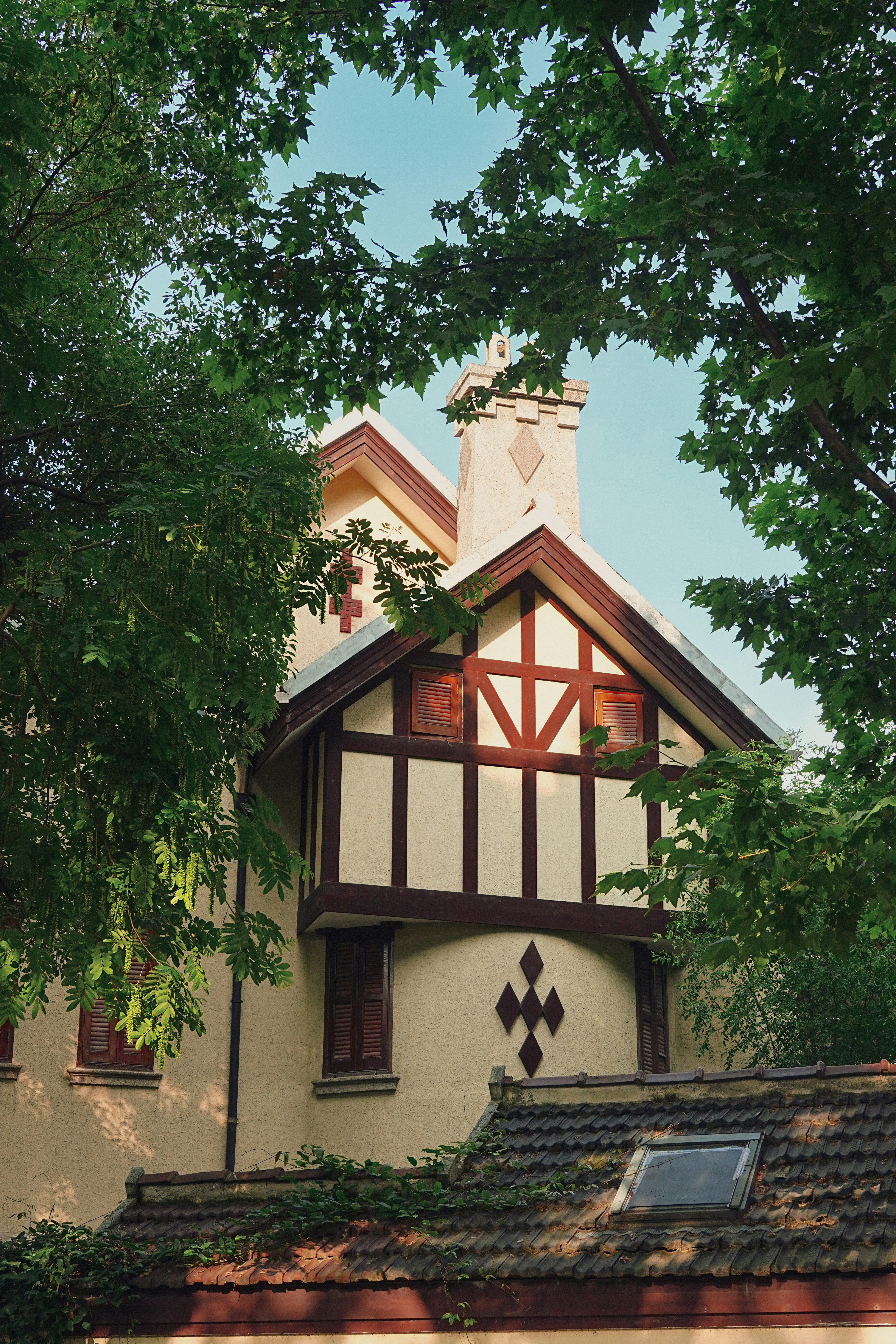 Photo by hattrick1996