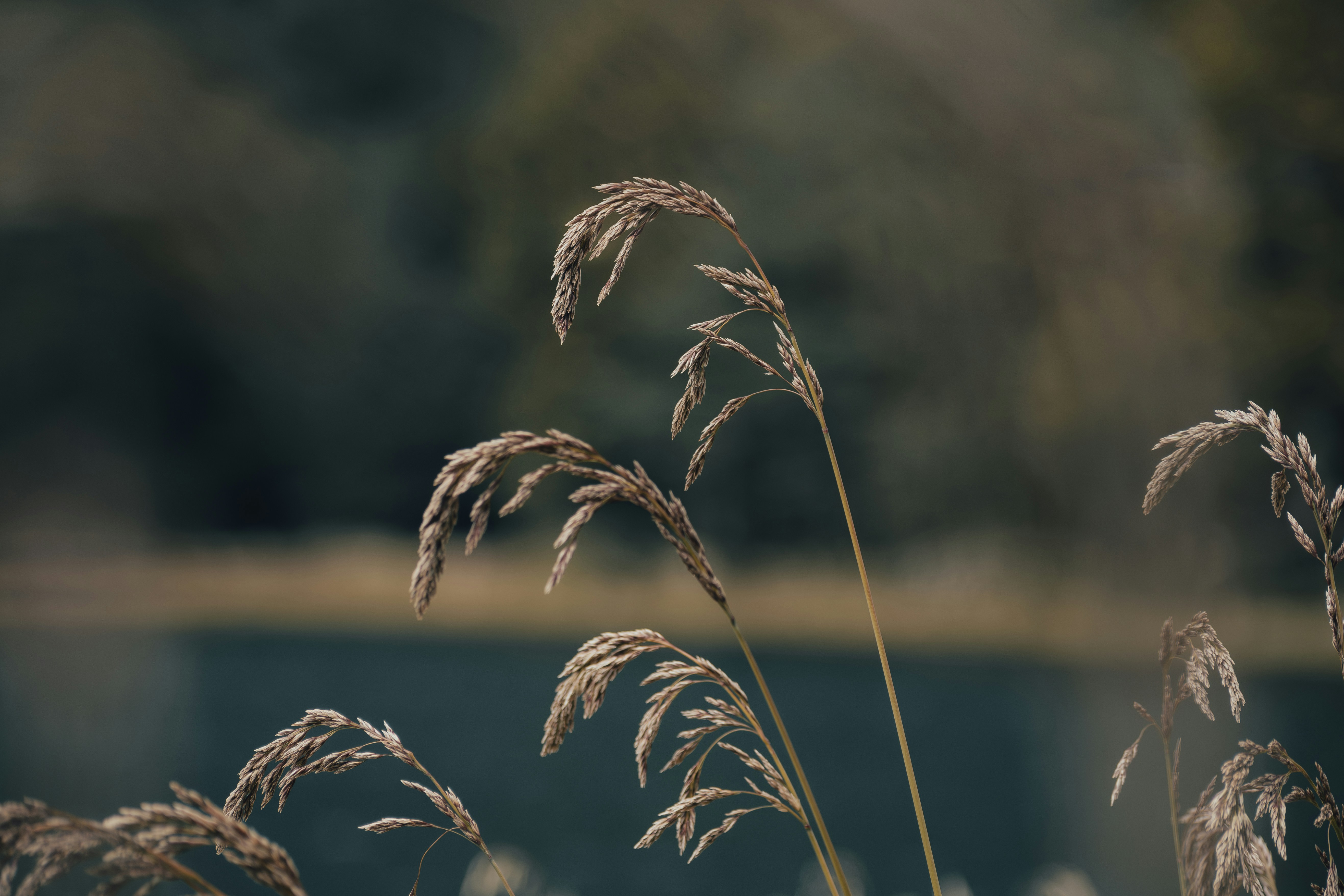 Photo by gasparzaldo