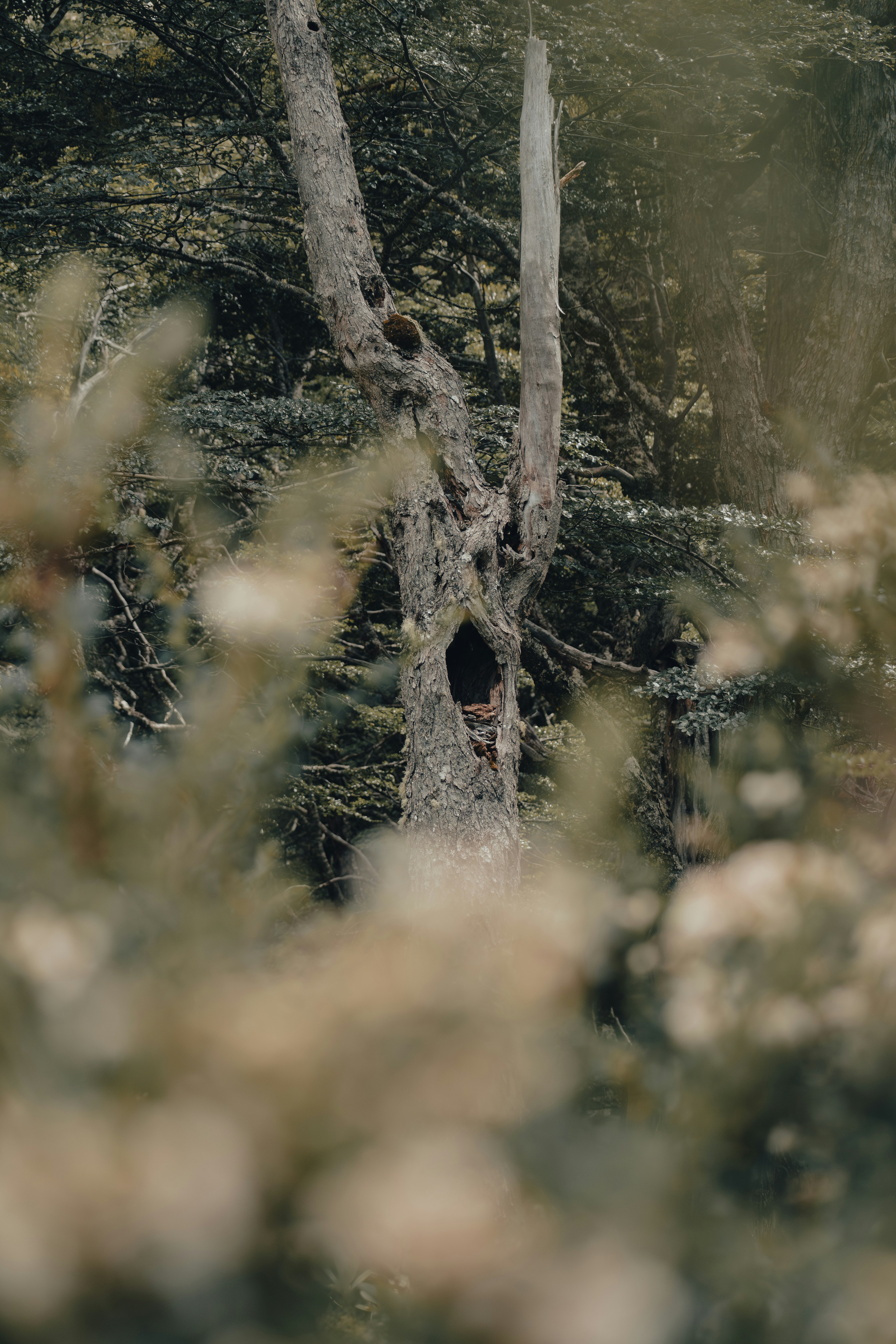 Photo by gasparzaldo