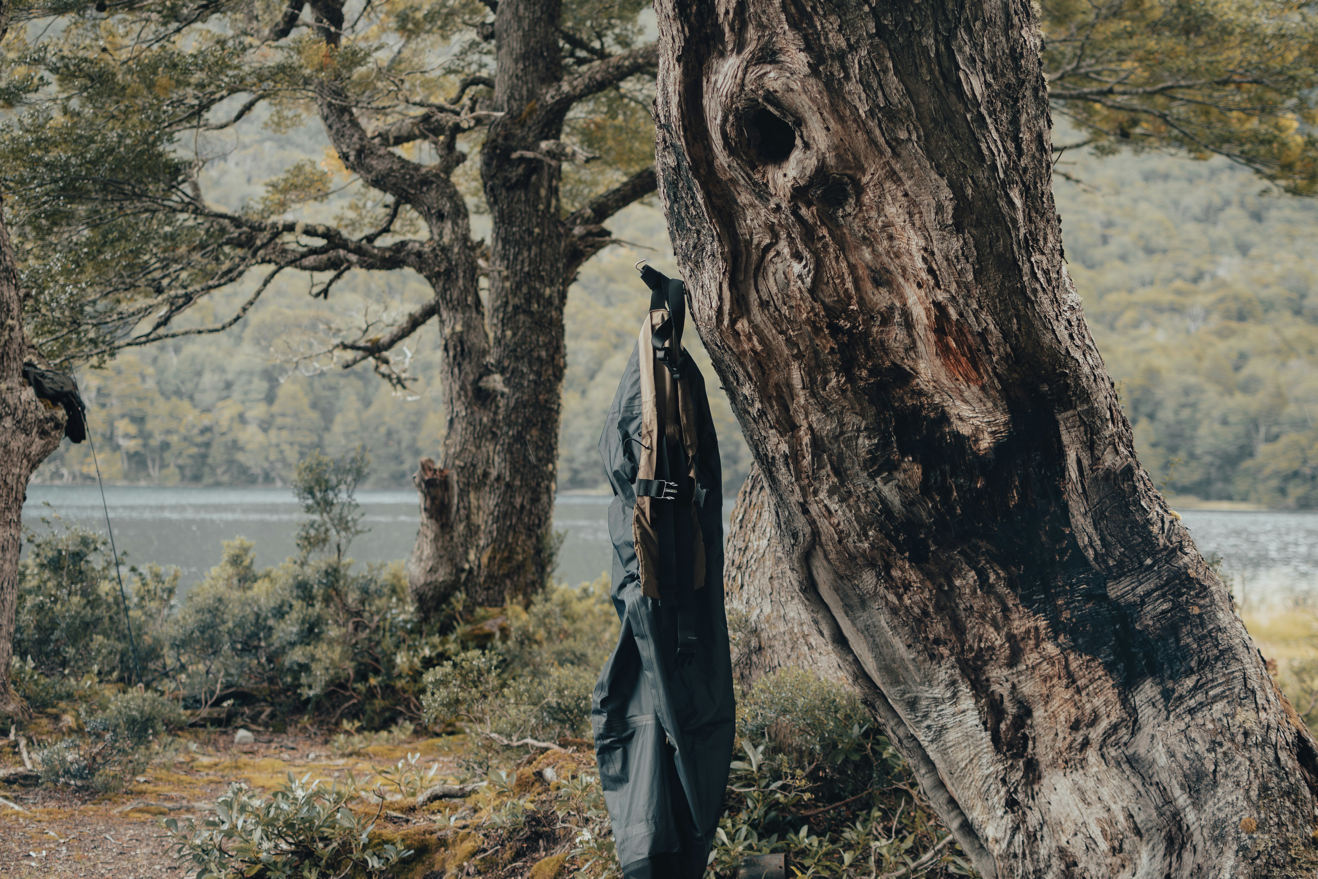 Photo by gasparzaldo