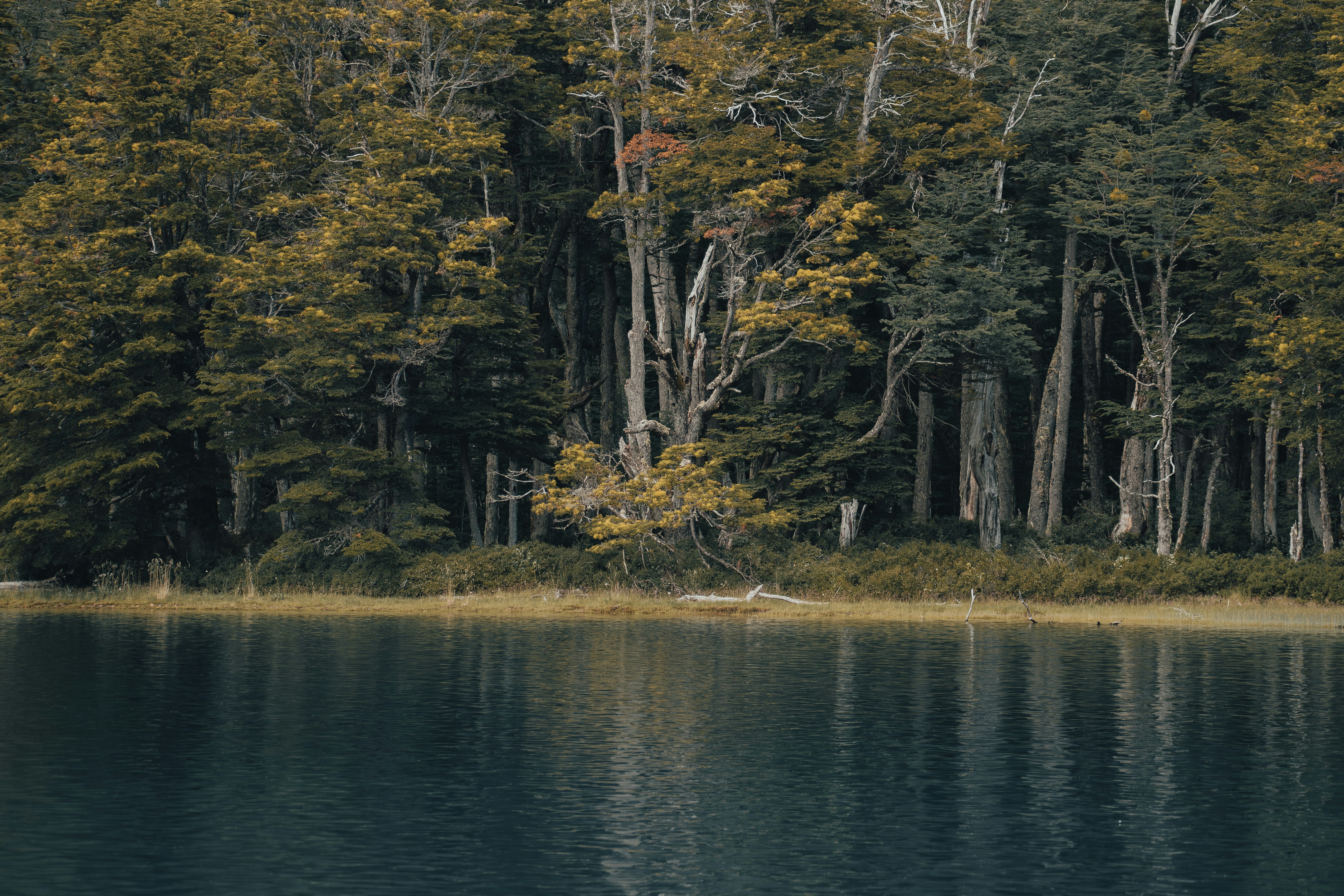 Photo by gasparzaldo