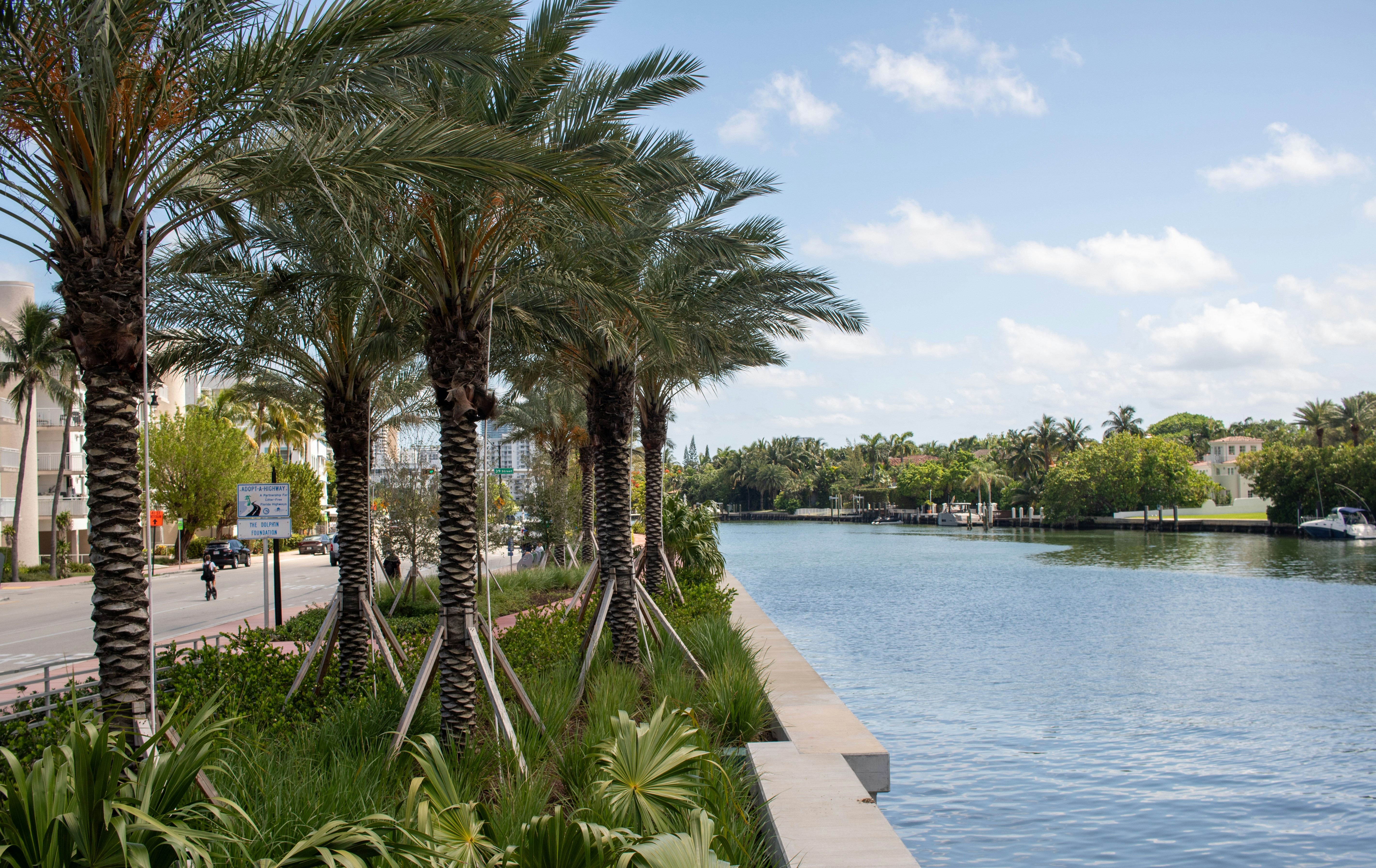 Palm trees line the side of a river
