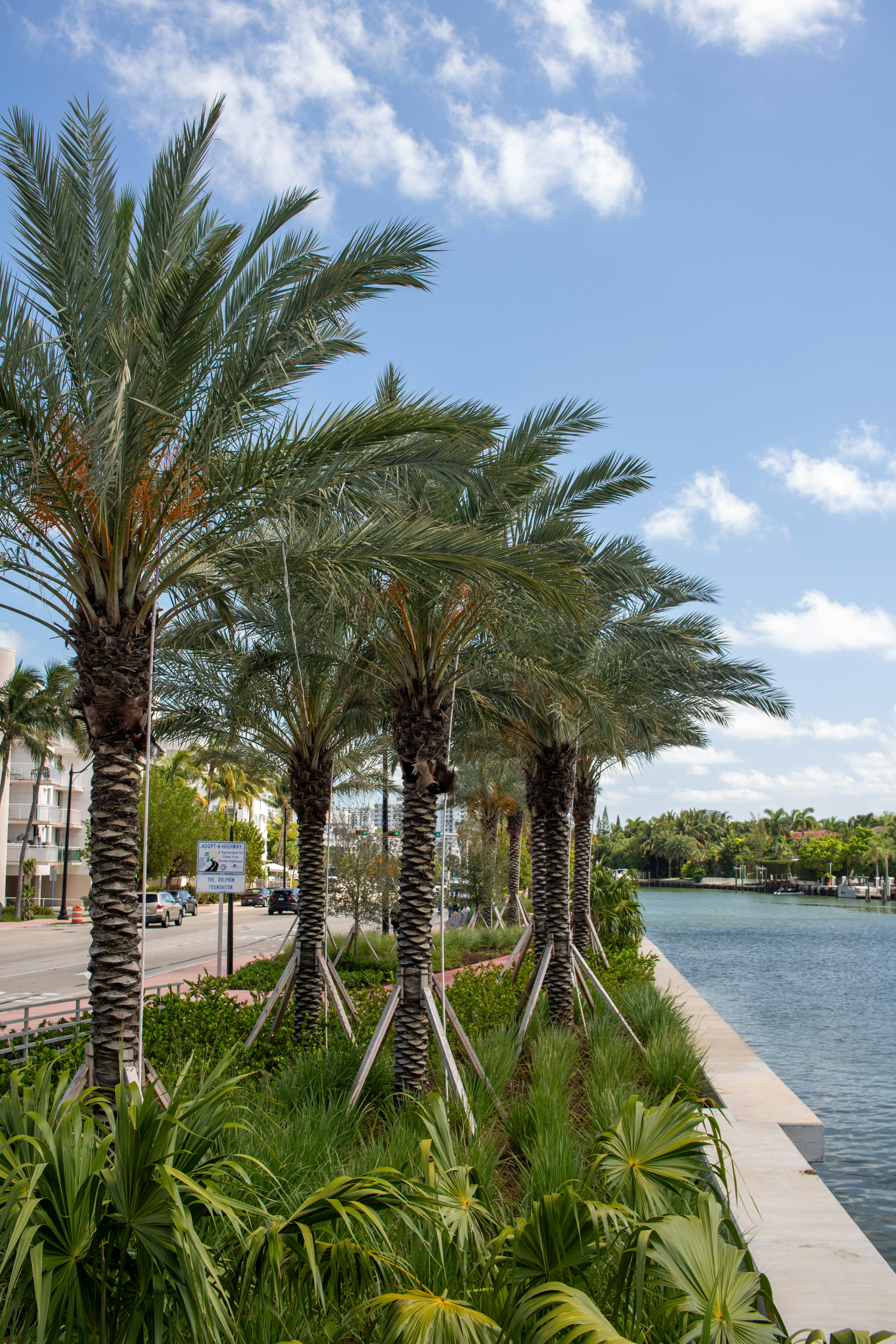 Photo by zoshuacolah