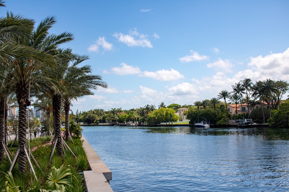Palm trees lining a calm Intracoastal waterway in northern Palm Beach County near Tequesta