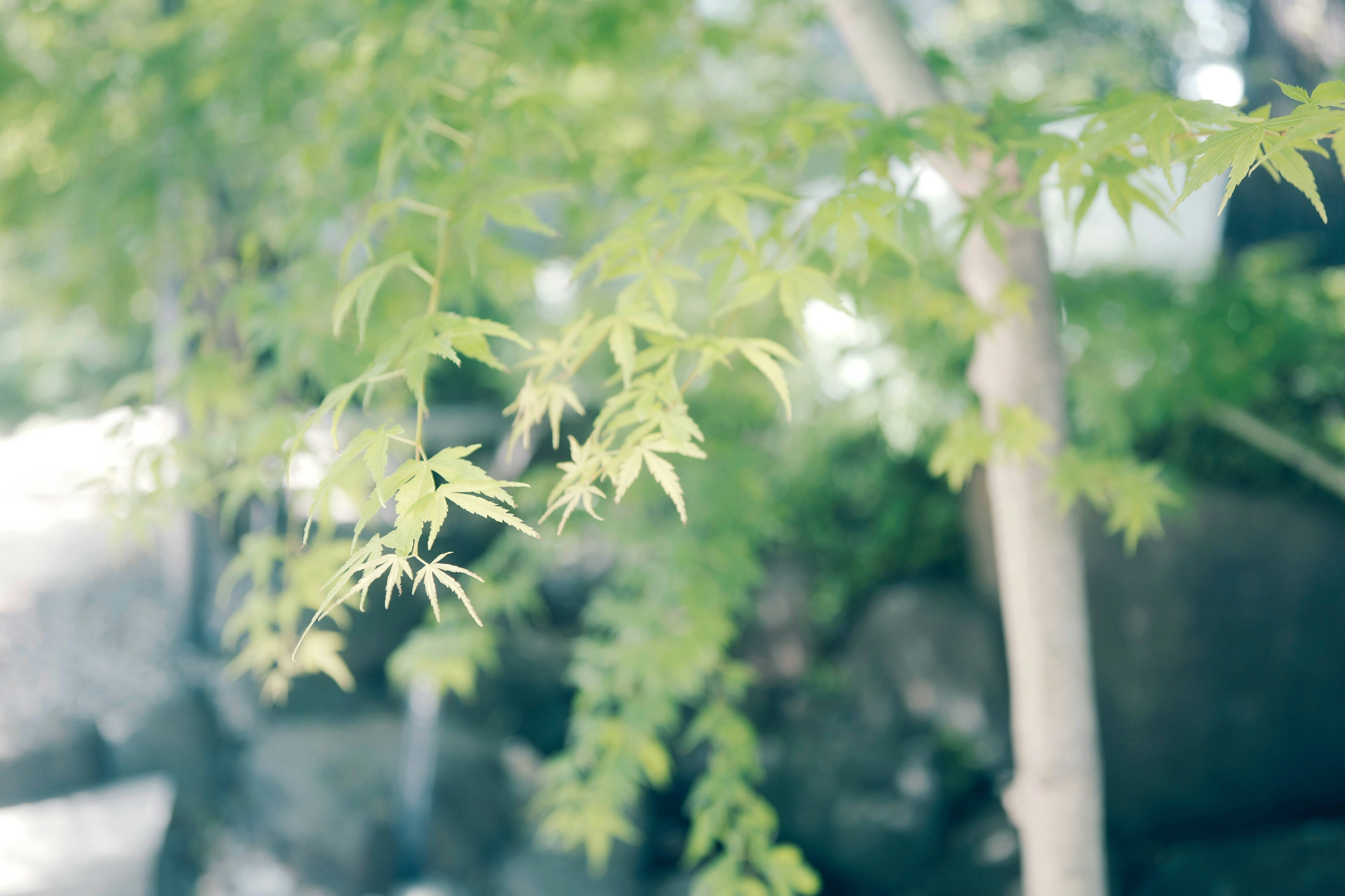 Photo by okuyama_leo