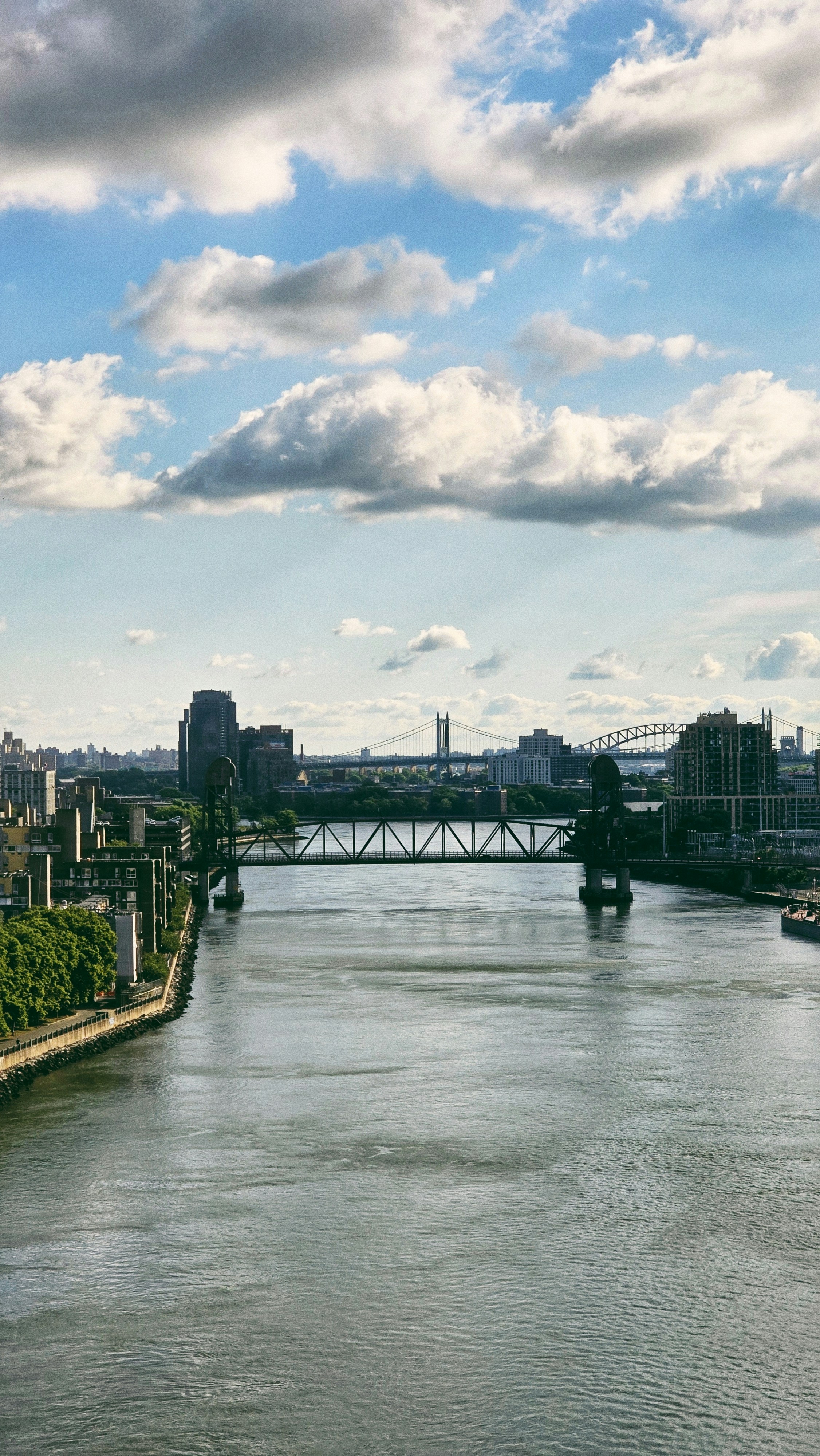 Photo by biancacecil