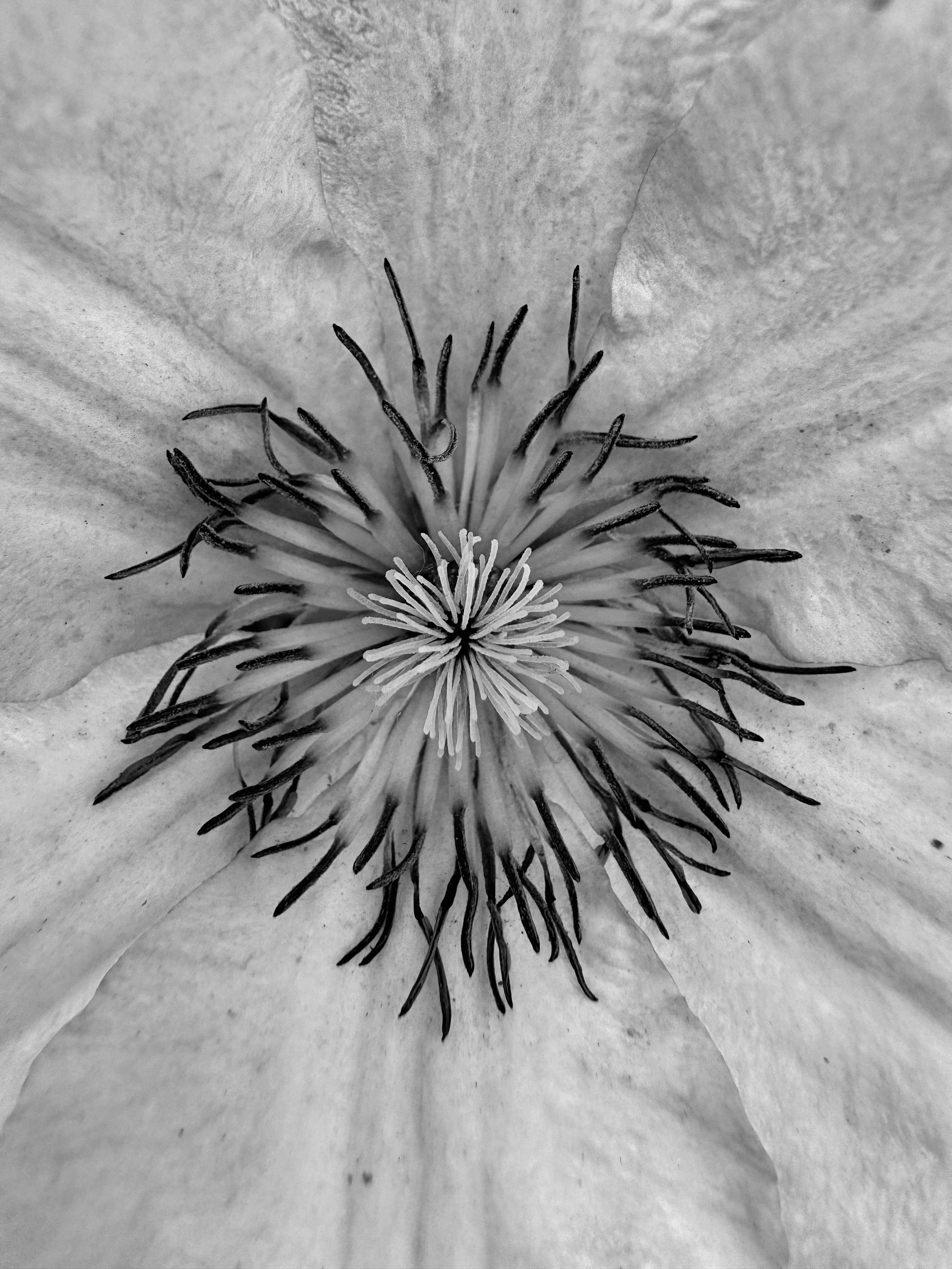 Photo by serendipity_pk