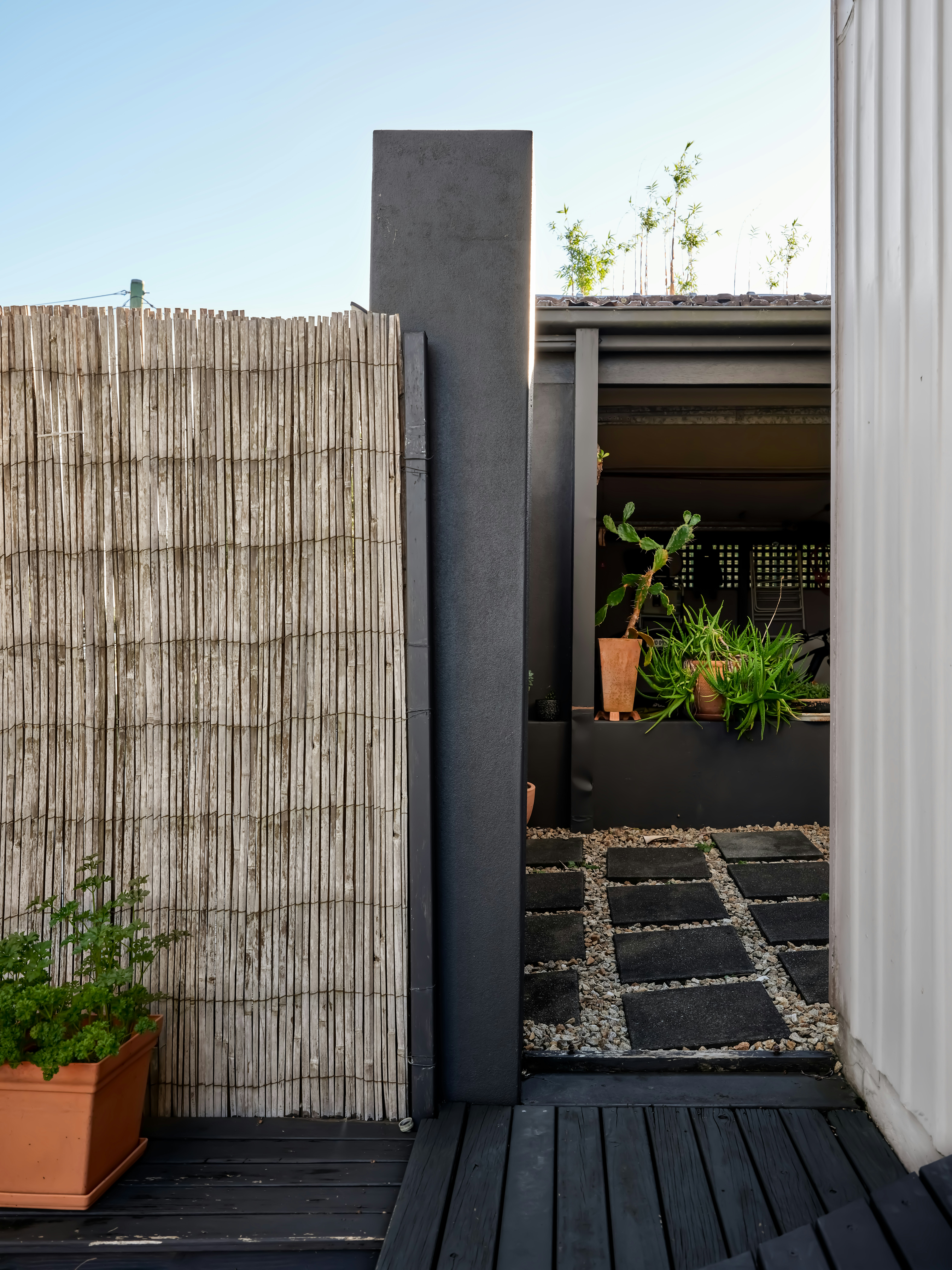 Photo by neonwangphotography