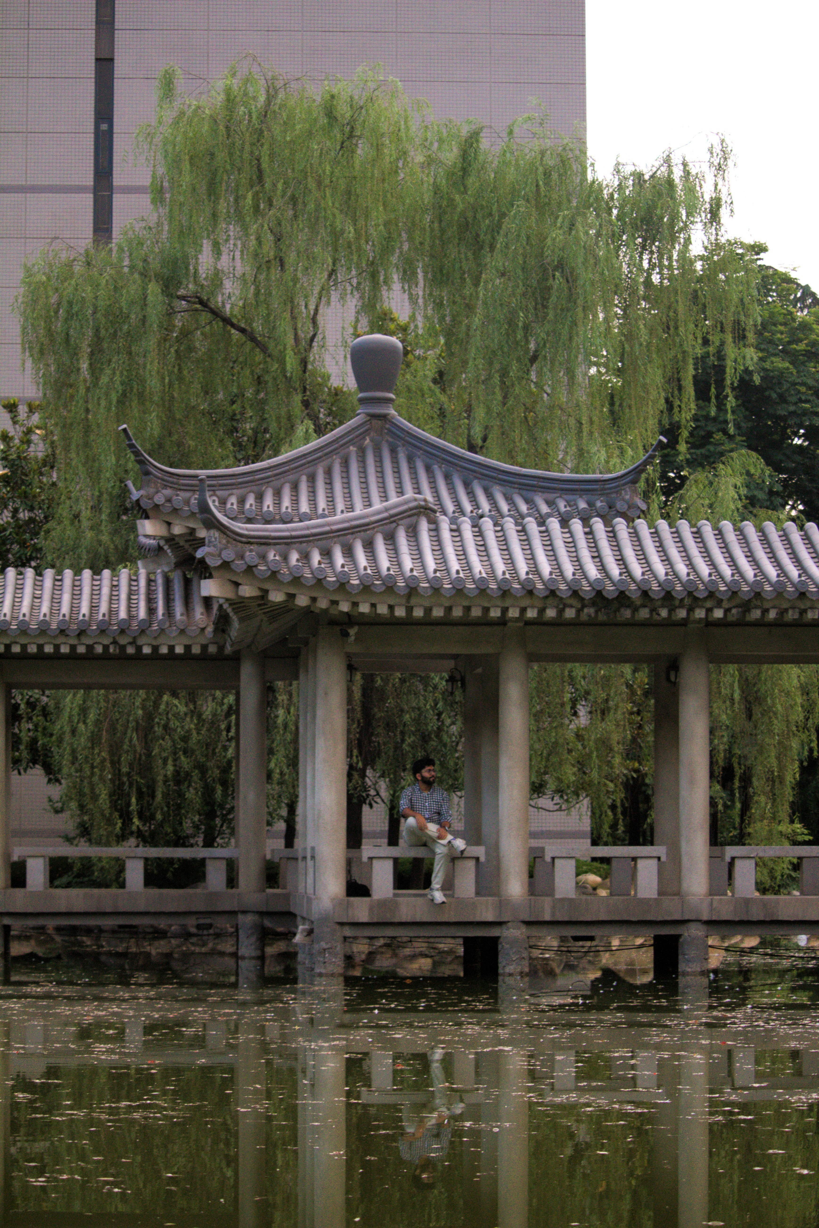 Photo by moin_merida