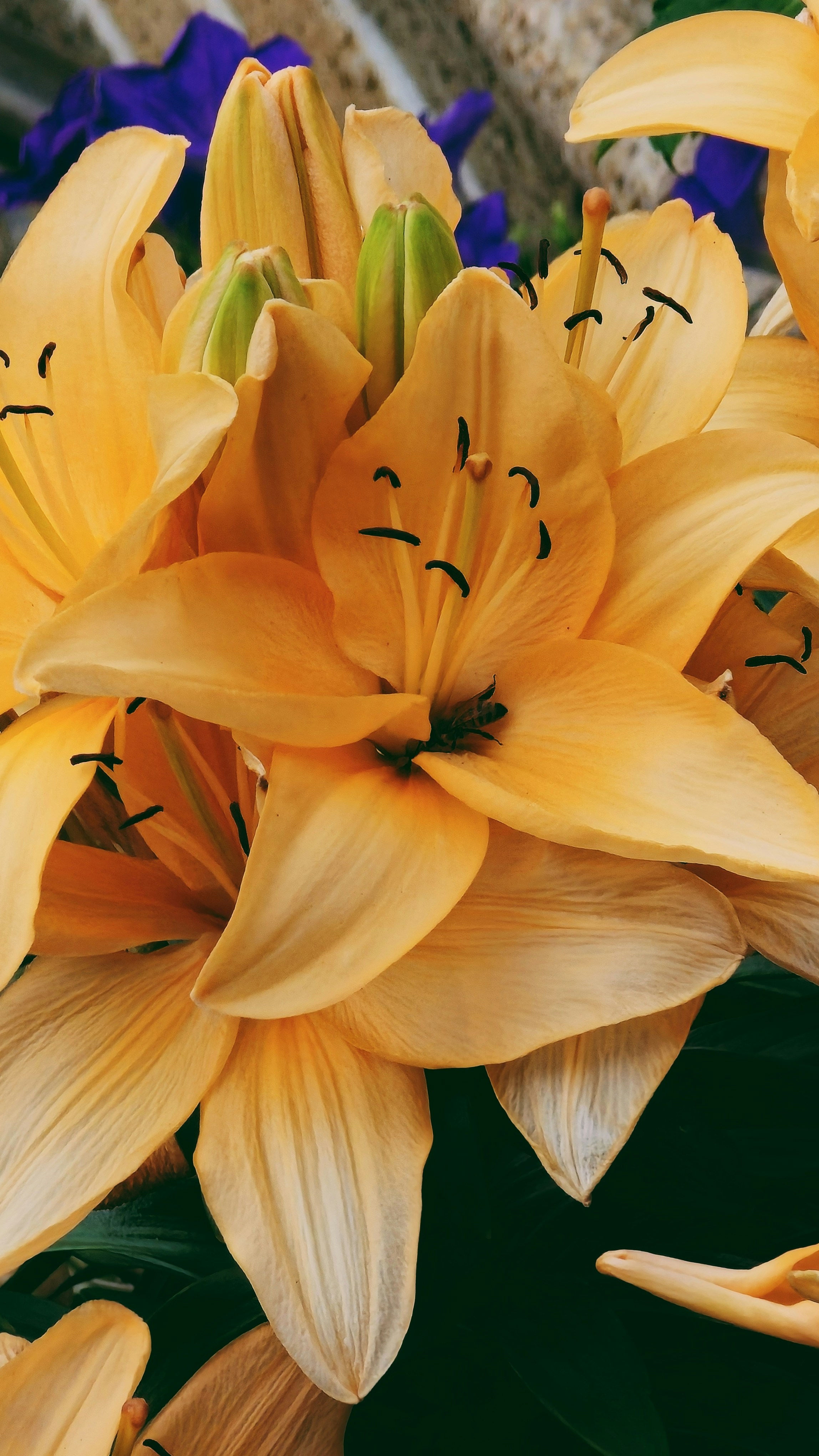 Photo by biancacecil