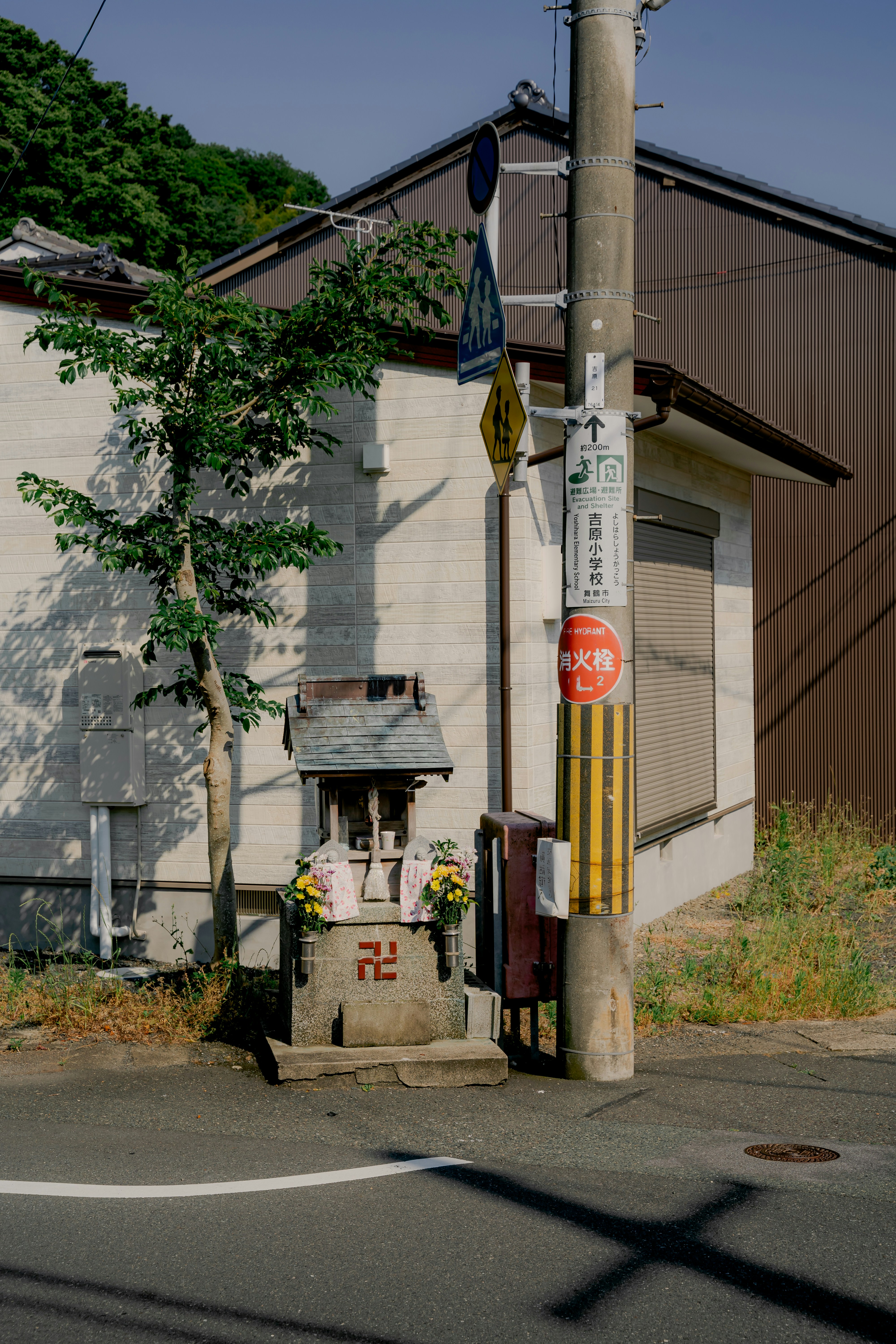 A street corner with a building in the background