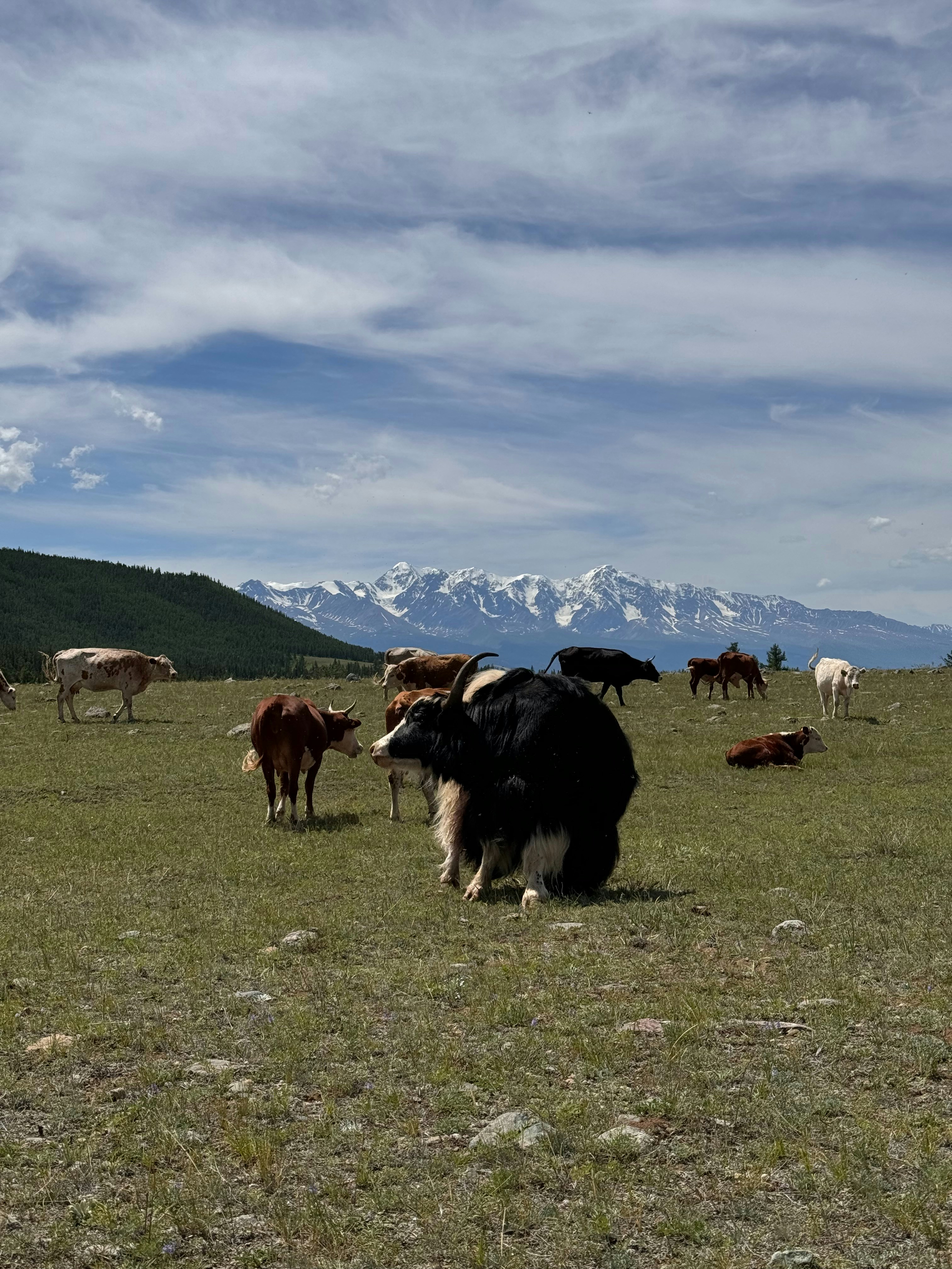 Photo by natalya2256