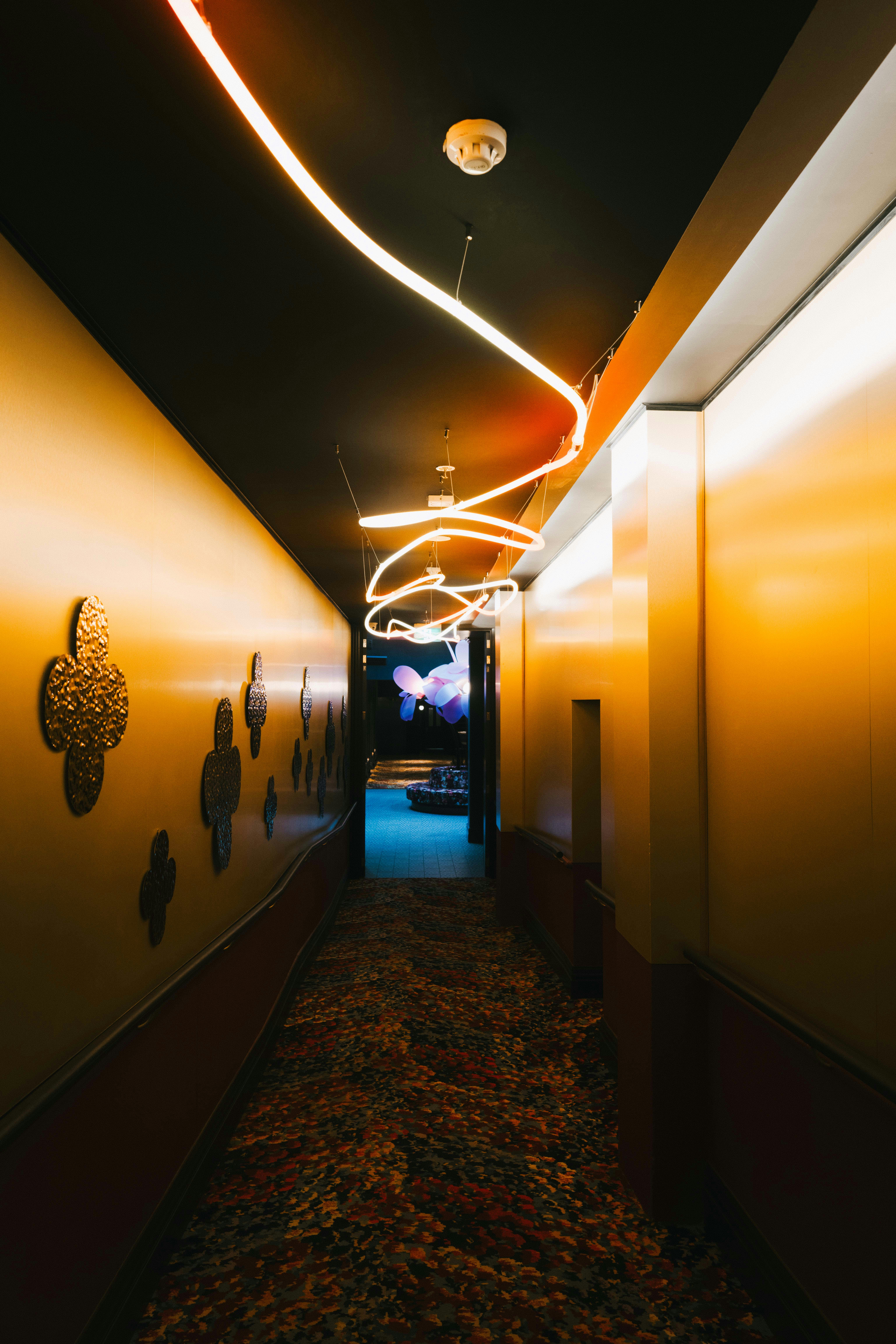 A picturesque view of Wellington