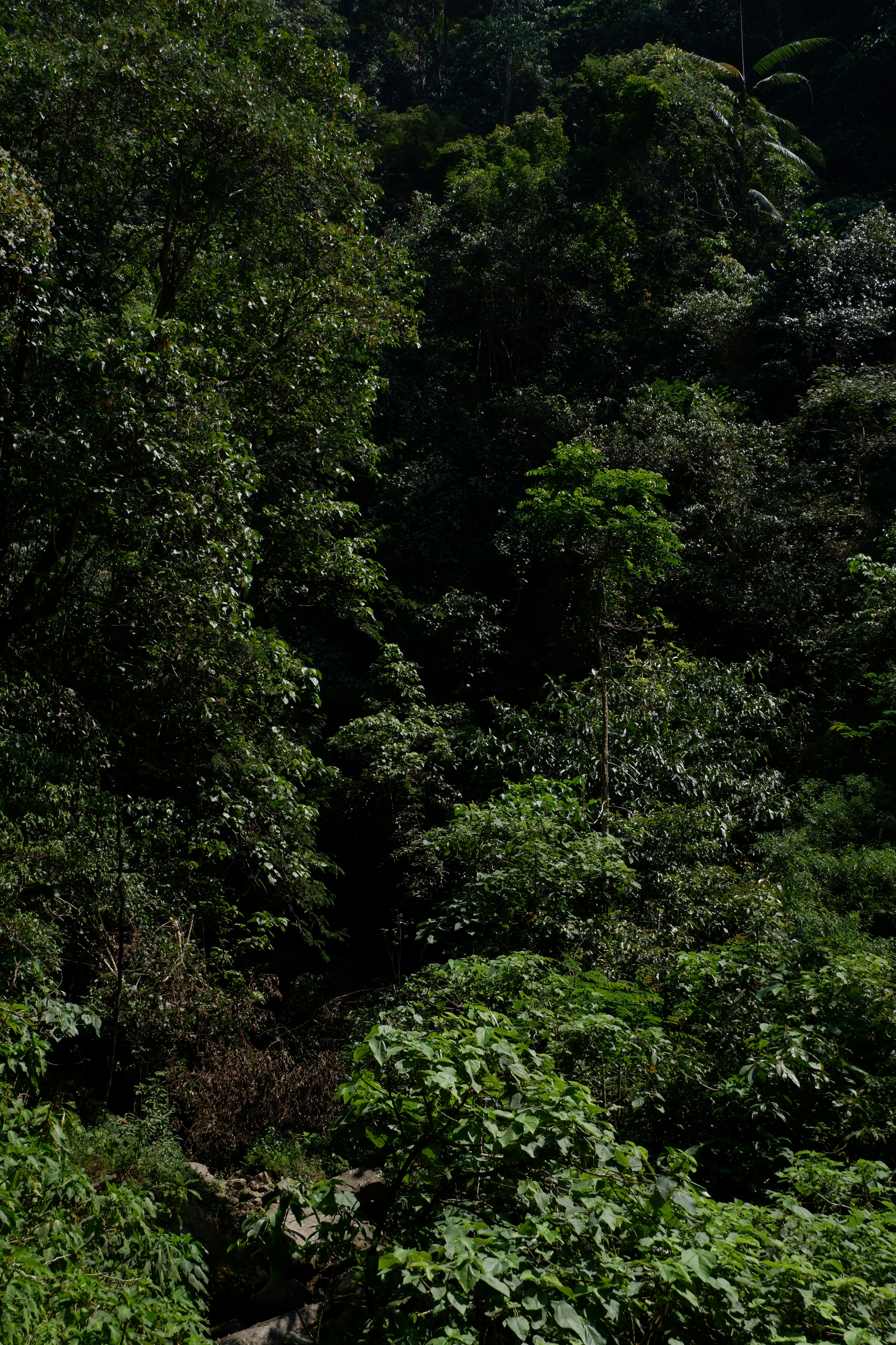 Photo by jepretualang