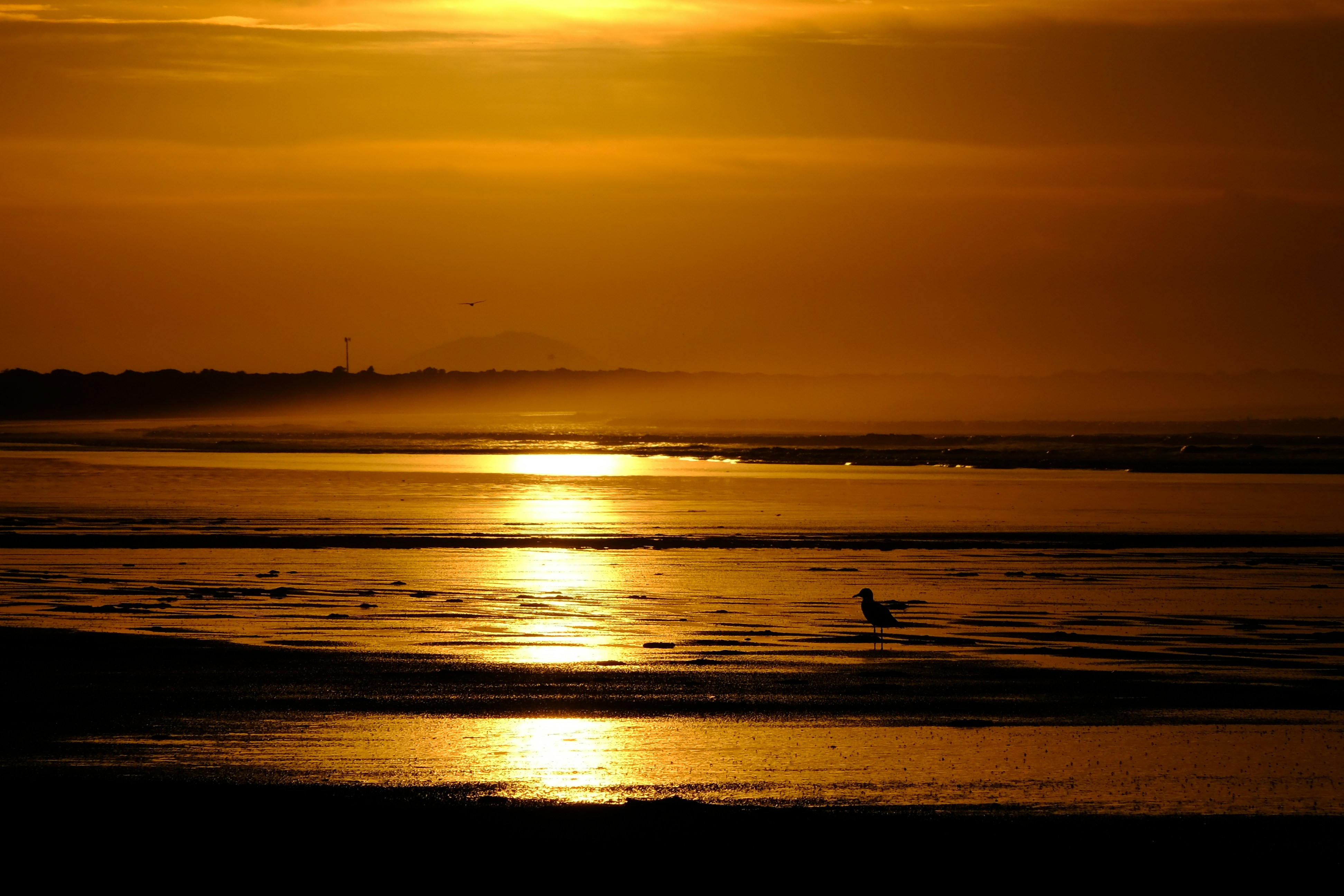 Photo by waltc