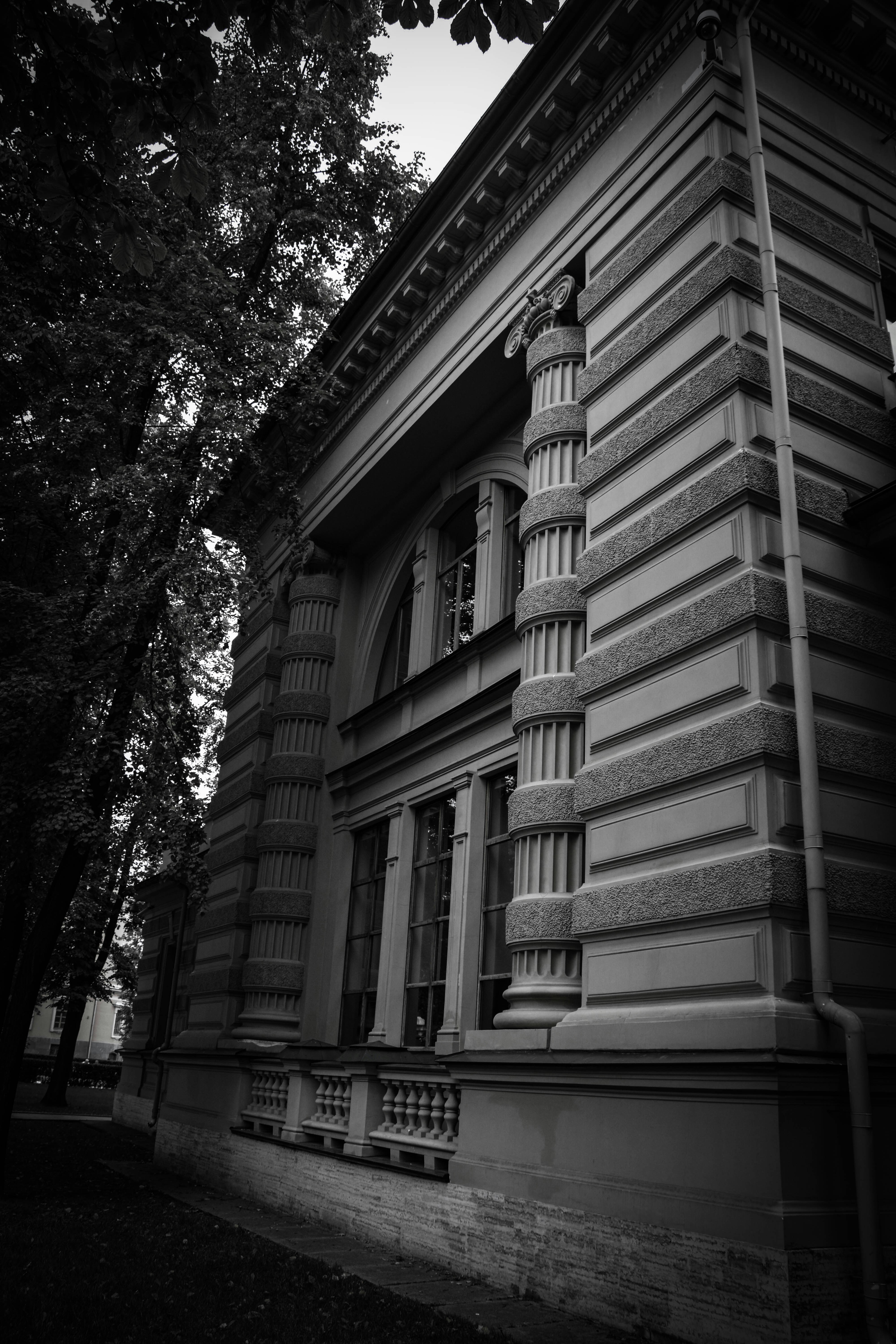 Photo by baglaevphoto