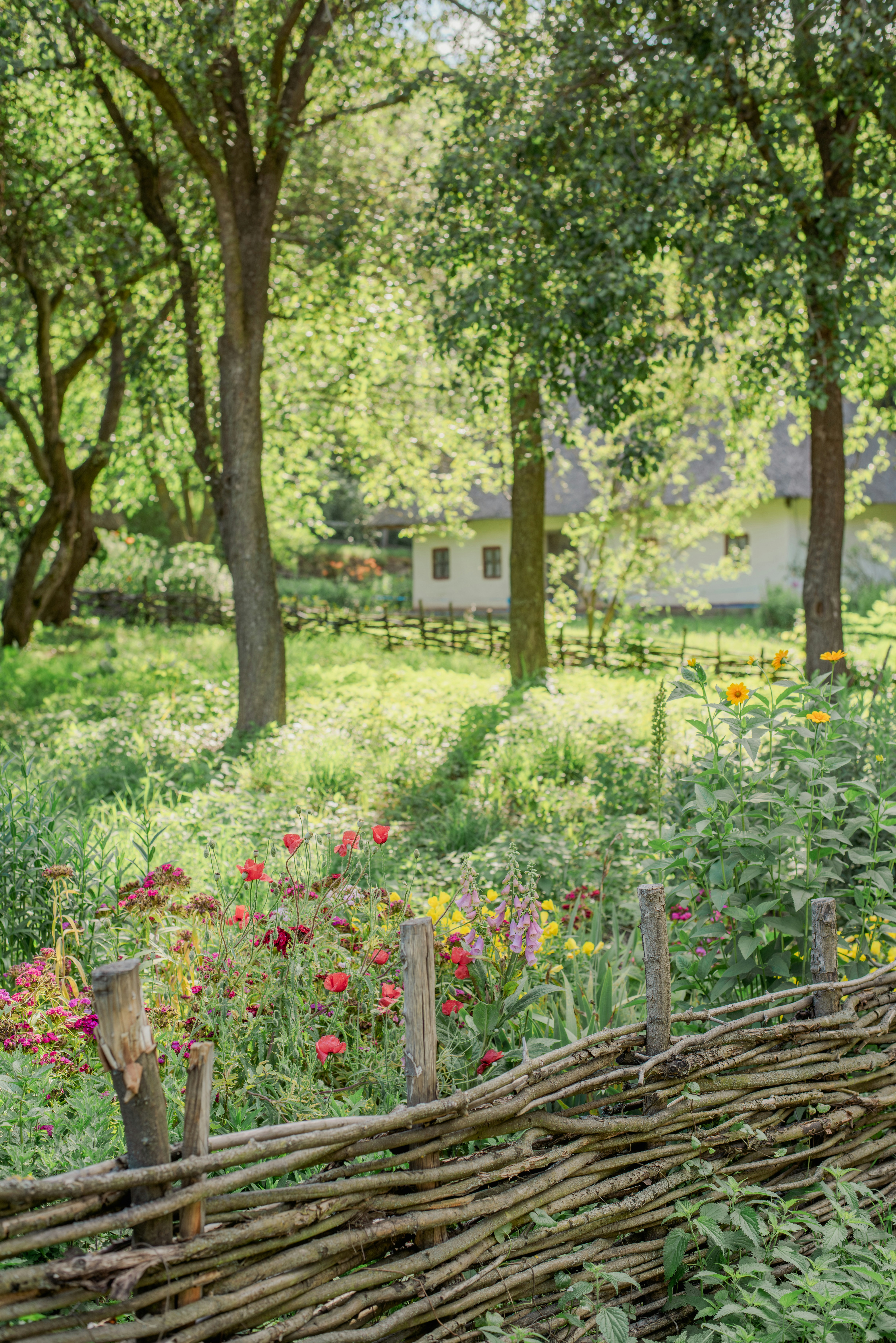 Photo by eugenivy_now