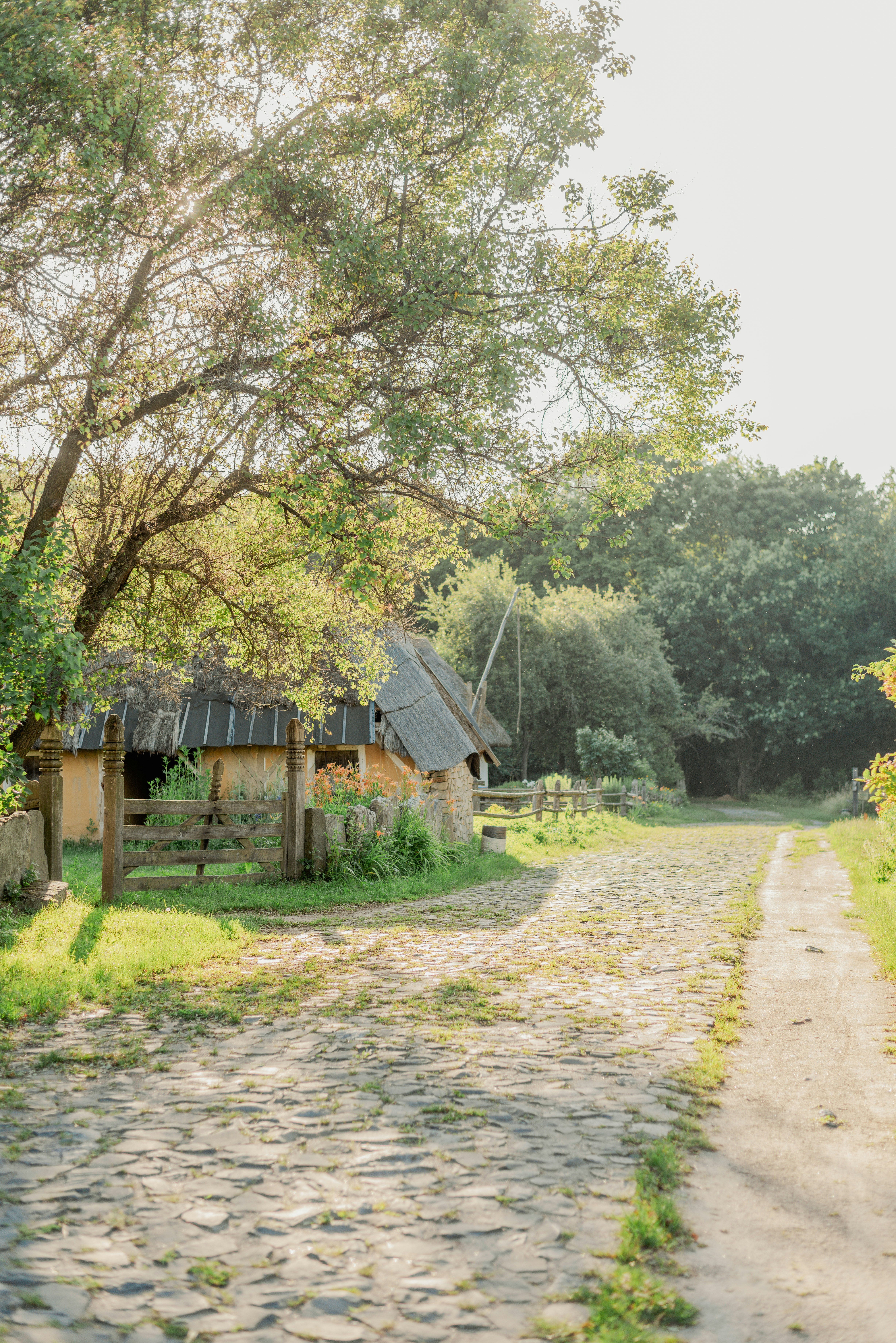 Photo by eugenivy_now