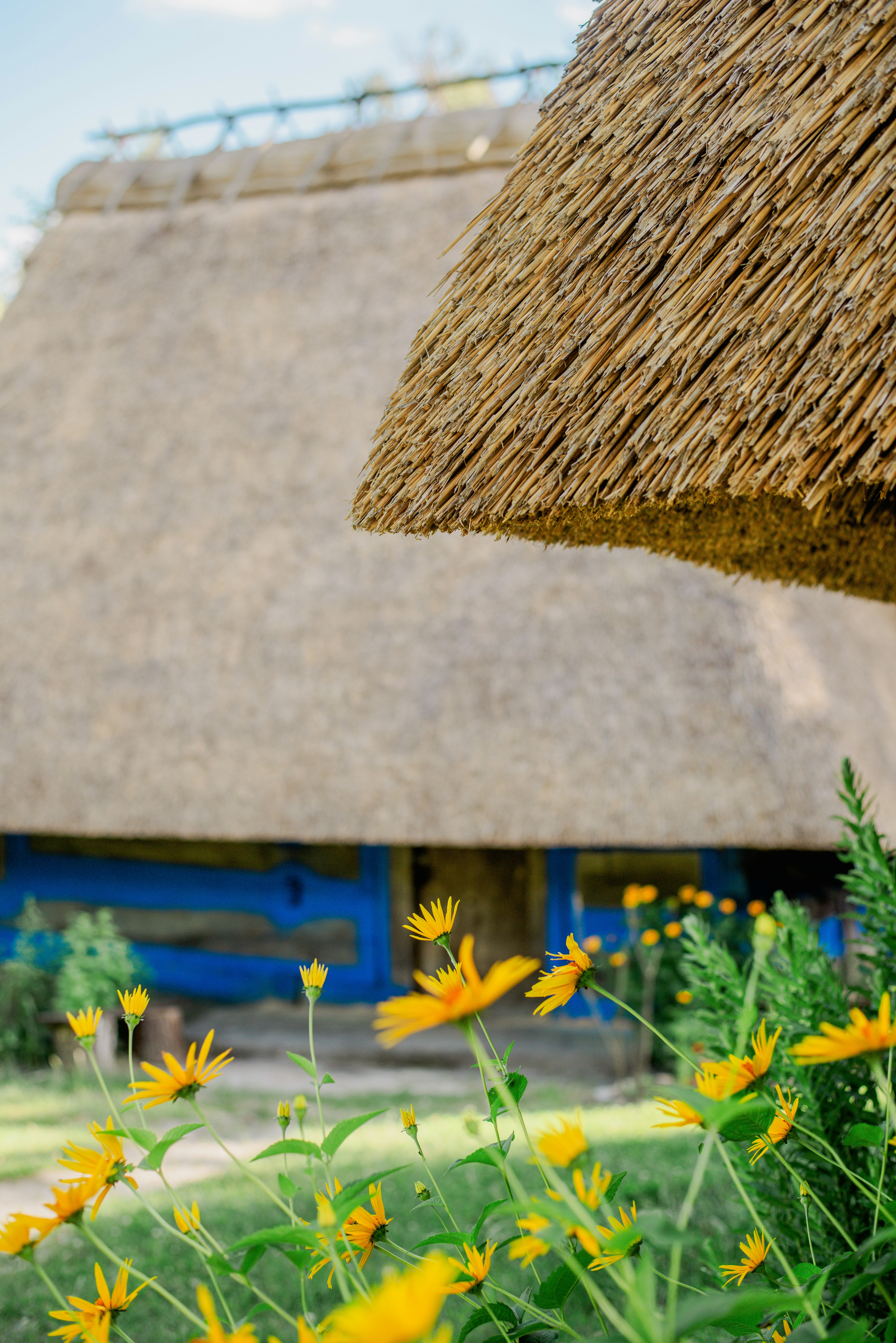 Photo by eugenivy_now