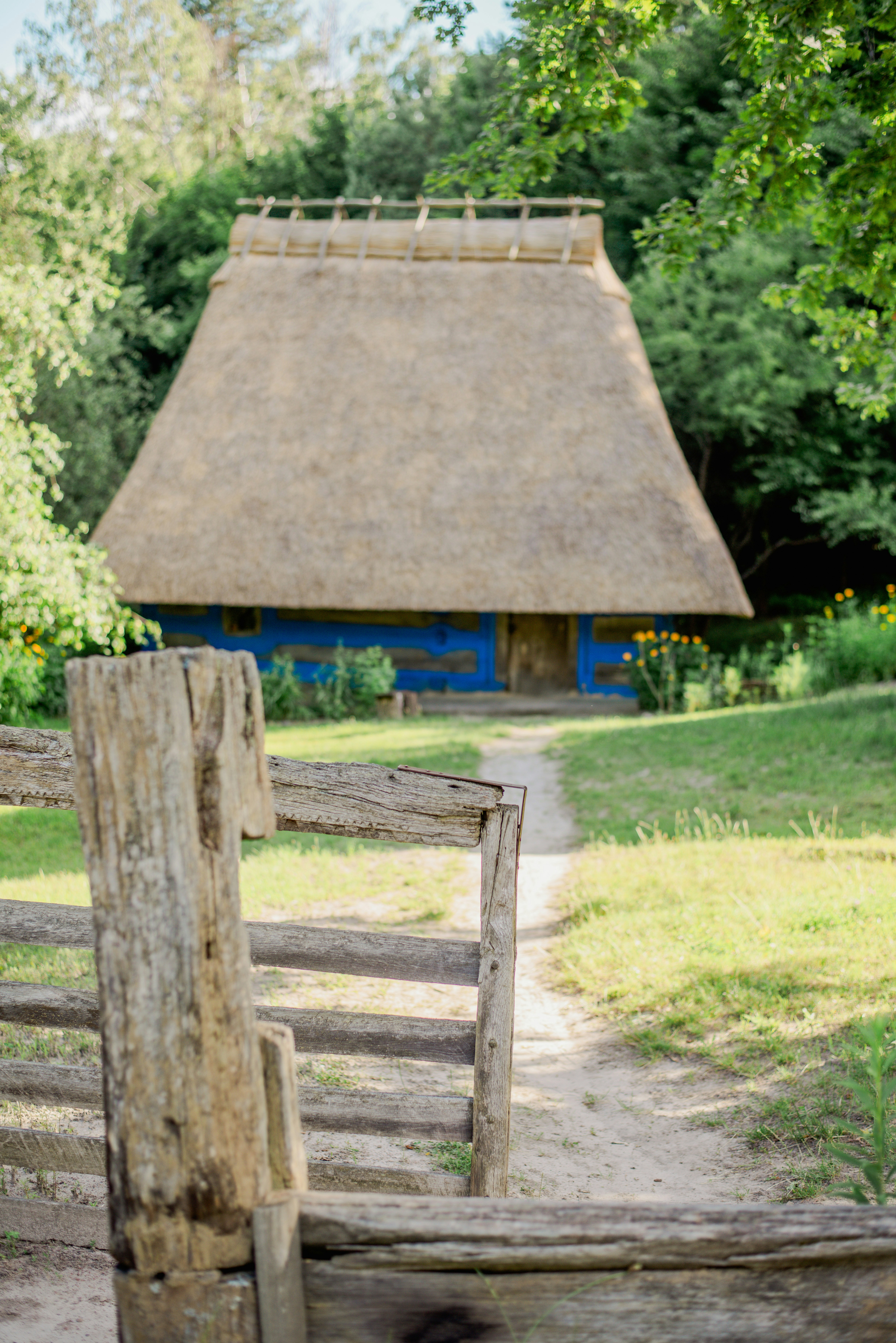 Photo by eugenivy_now