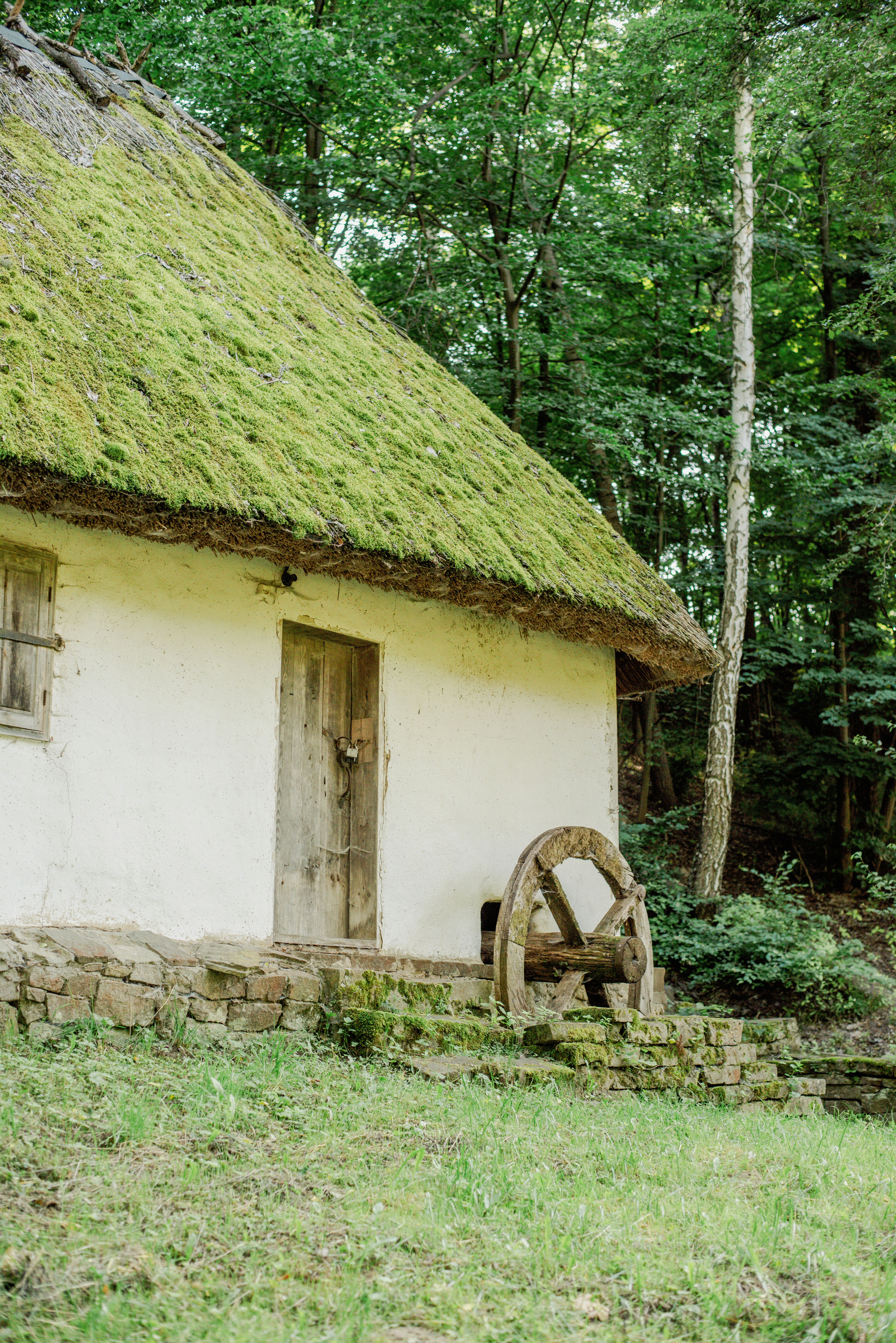 Photo by eugenivy_now