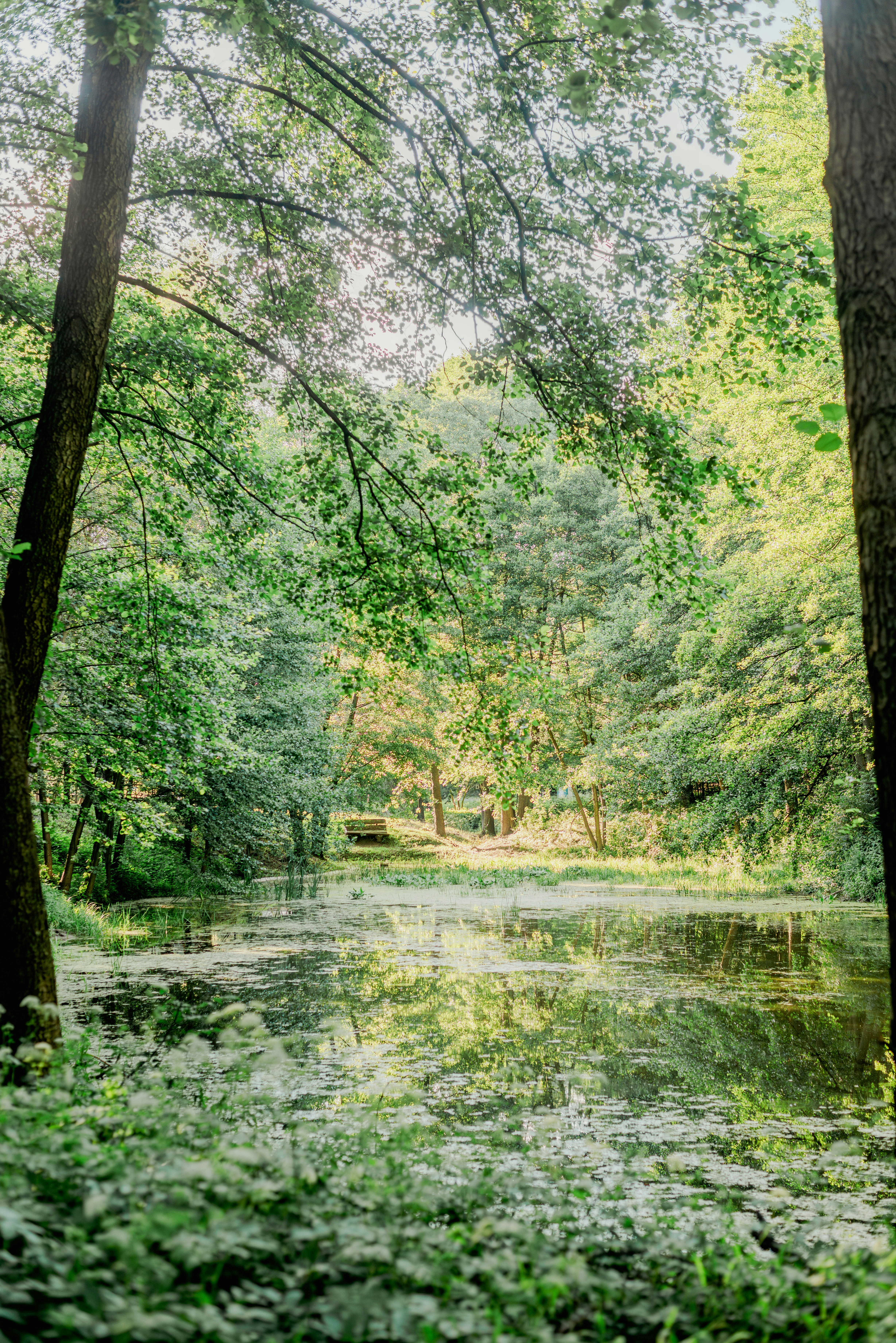 Photo by eugenivy_now