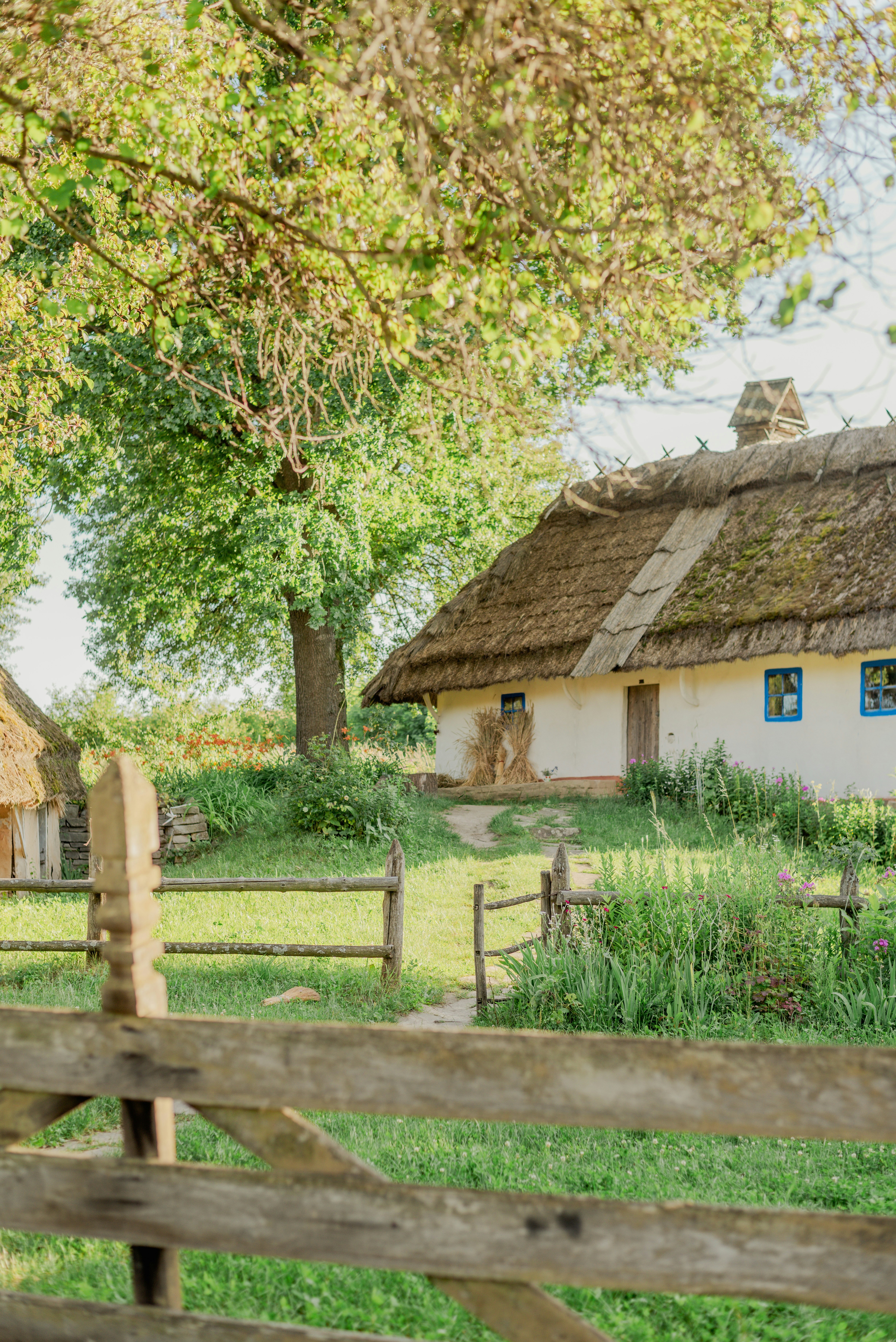 Photo by eugenivy_now