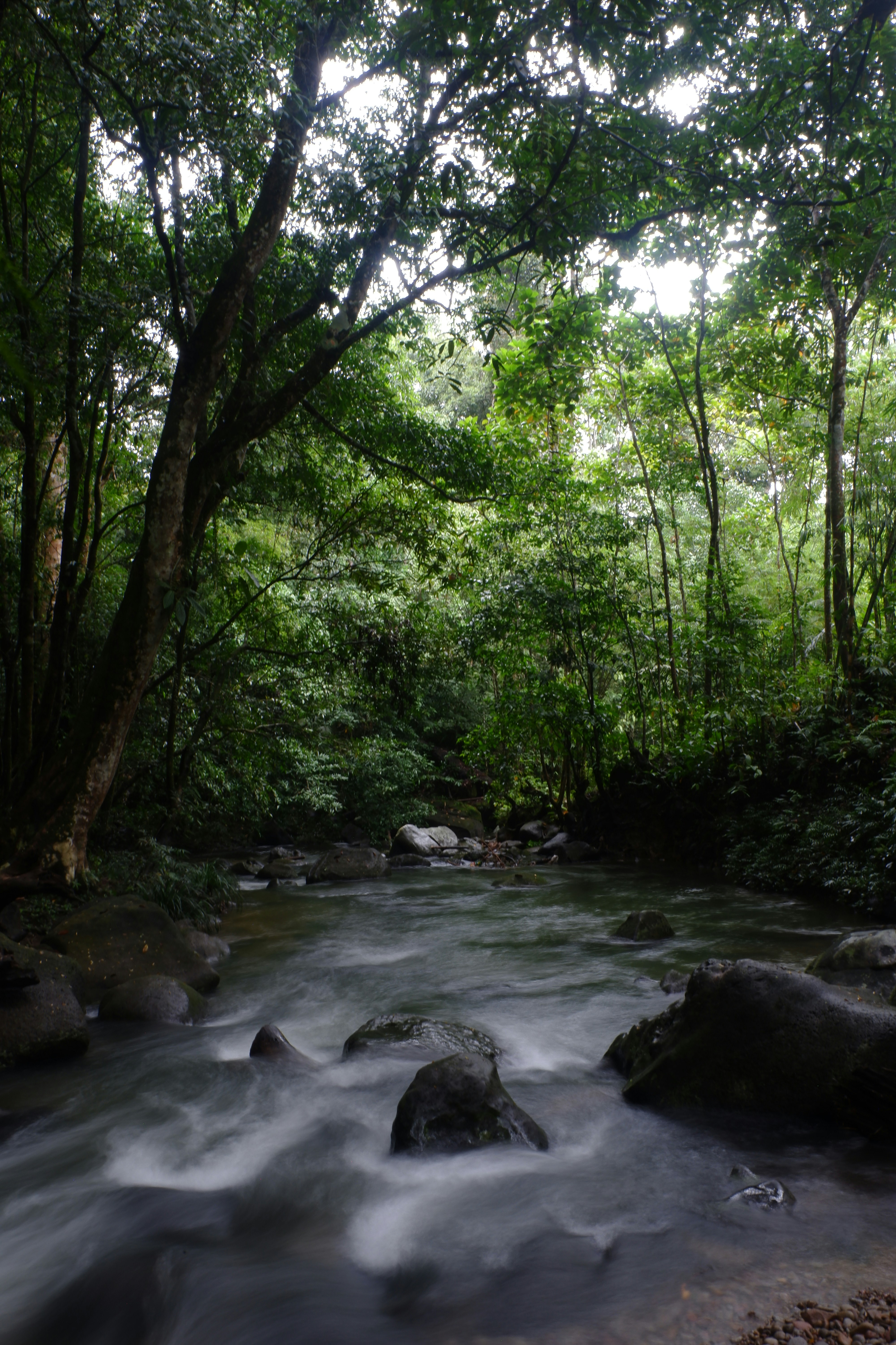 Photo by jepretualang