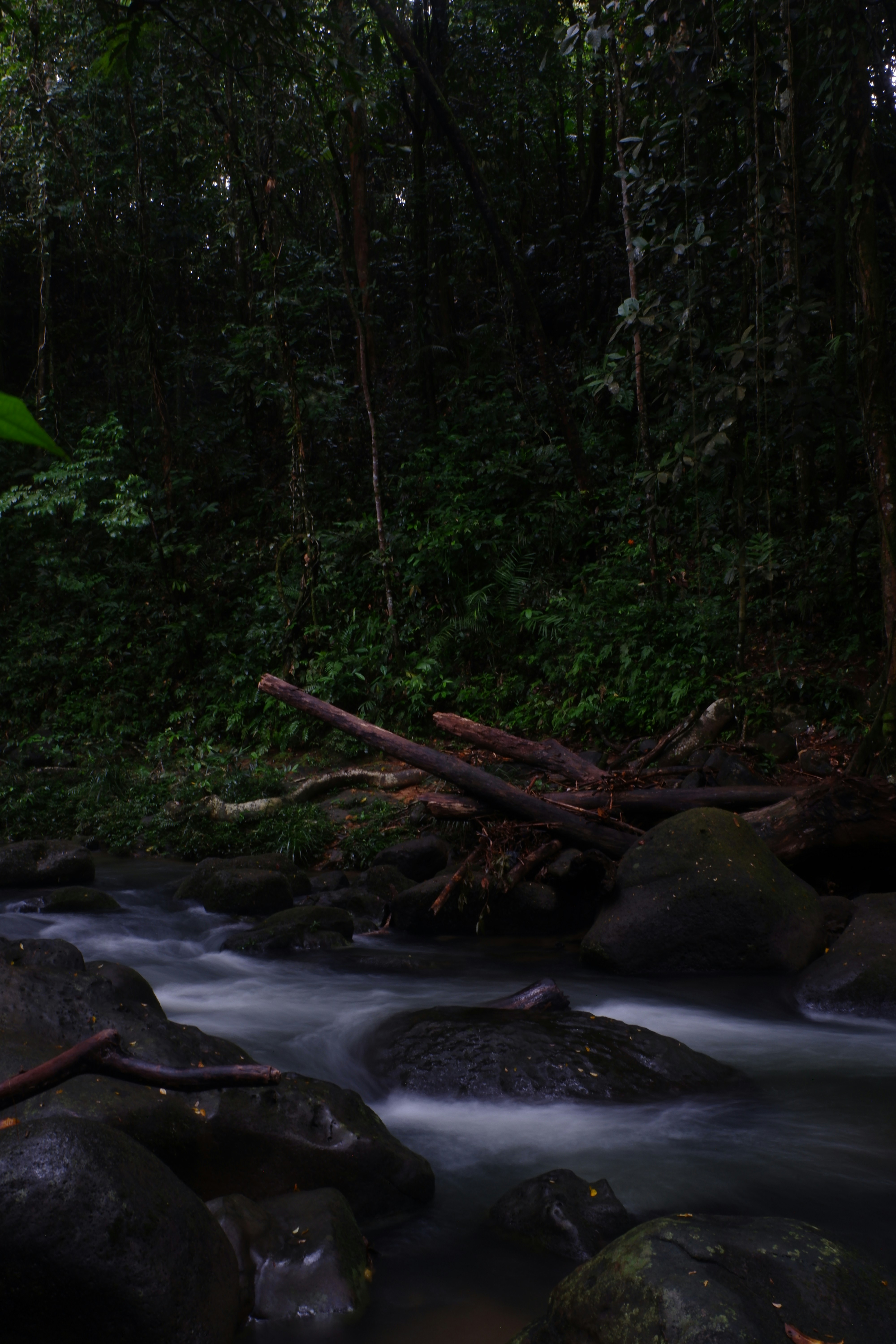 Photo by jepretualang