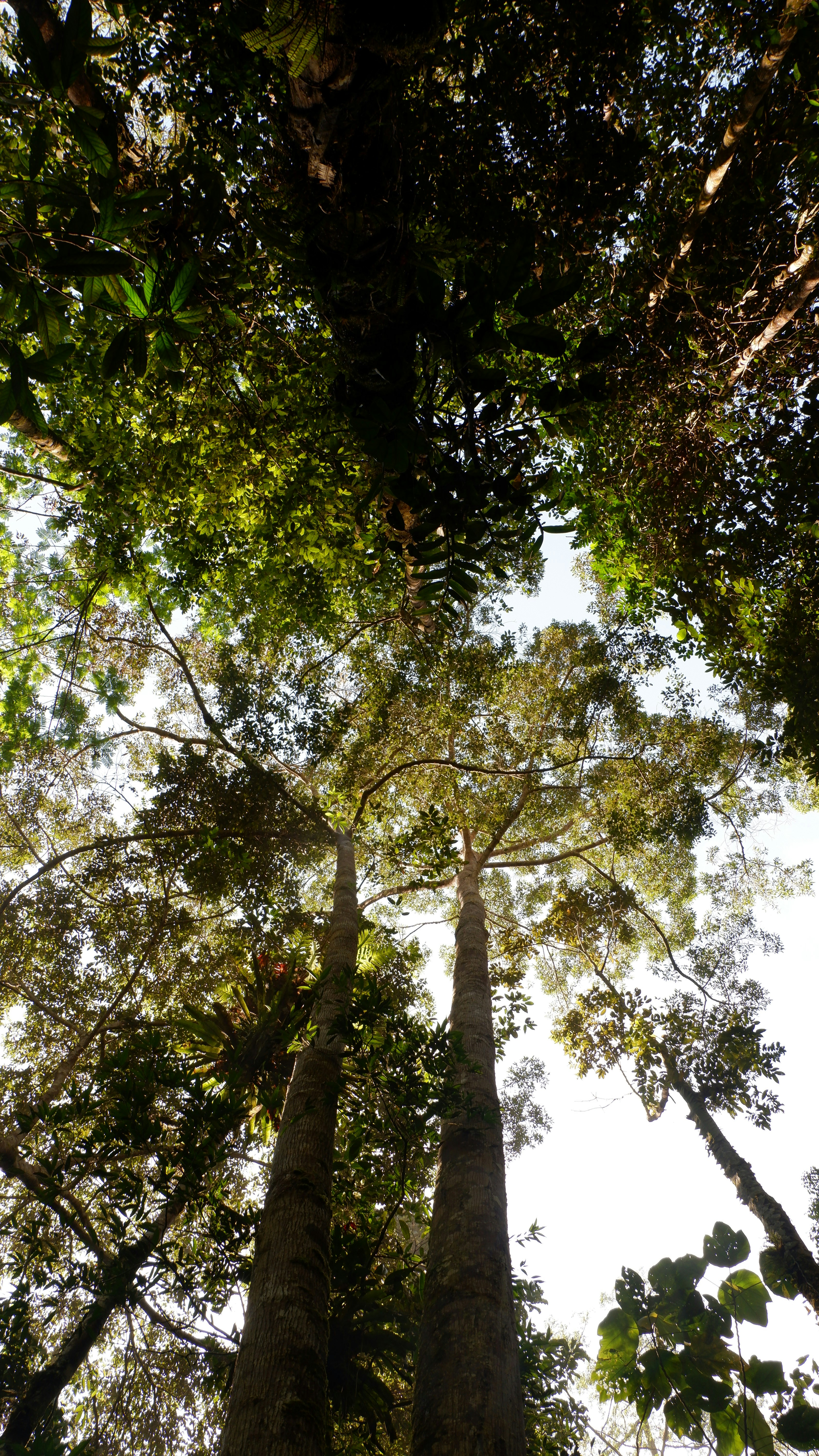 Photo by jepretualang