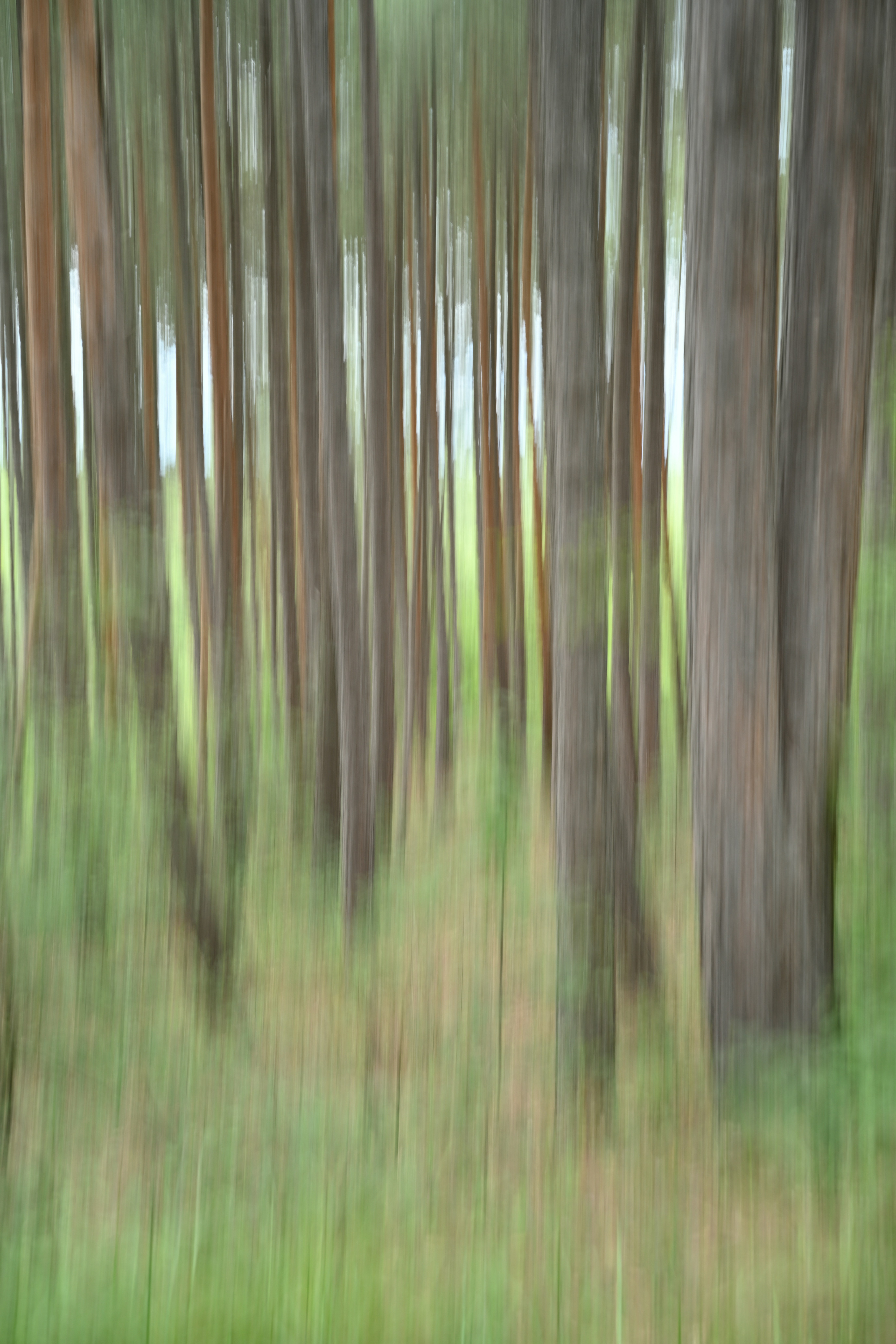 Photo by bkaraivanov