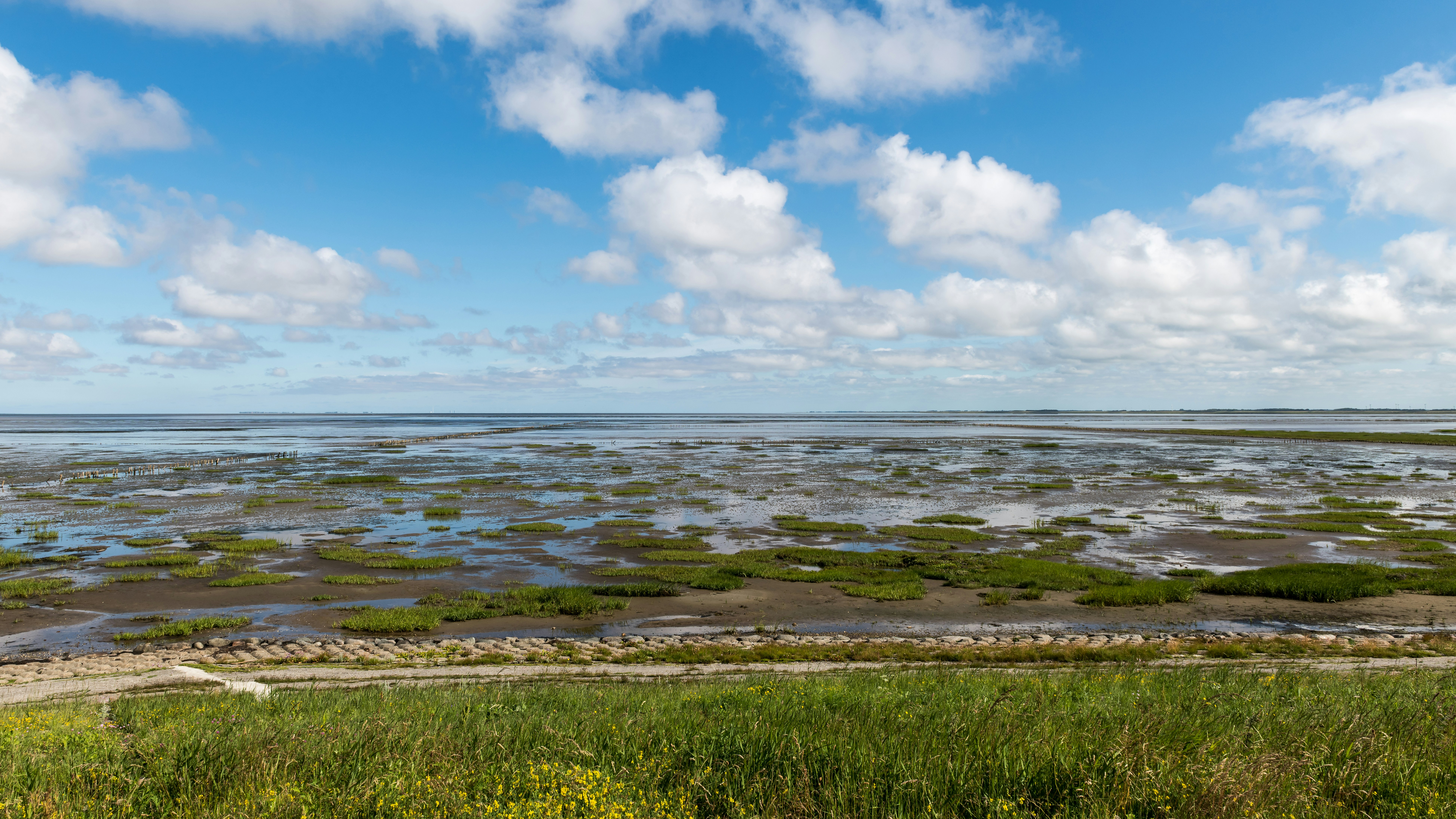 Photo by hamburgmeinefreundin