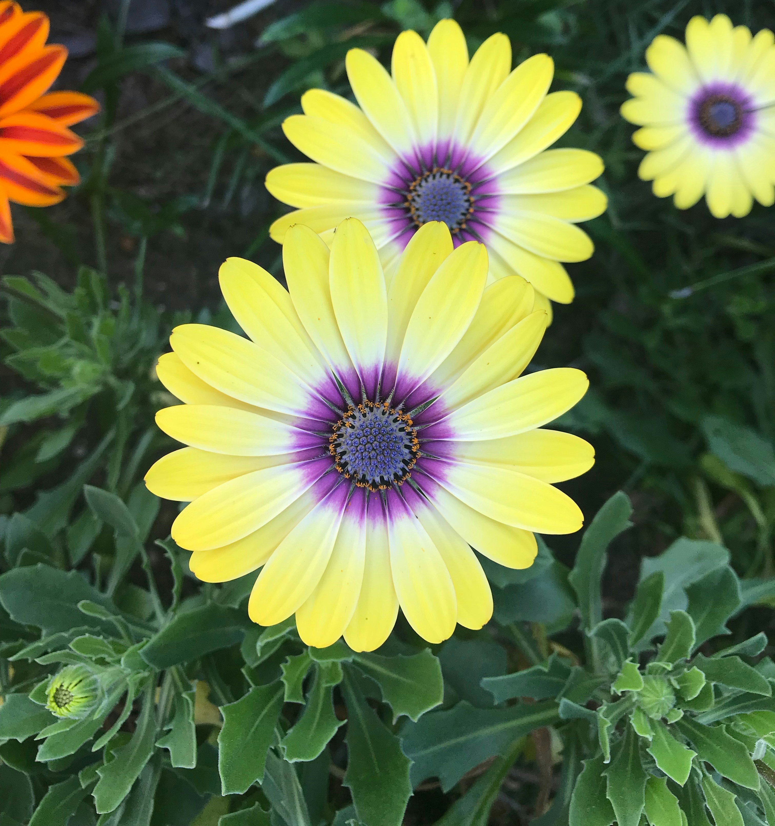 Photo by infinate_diwas