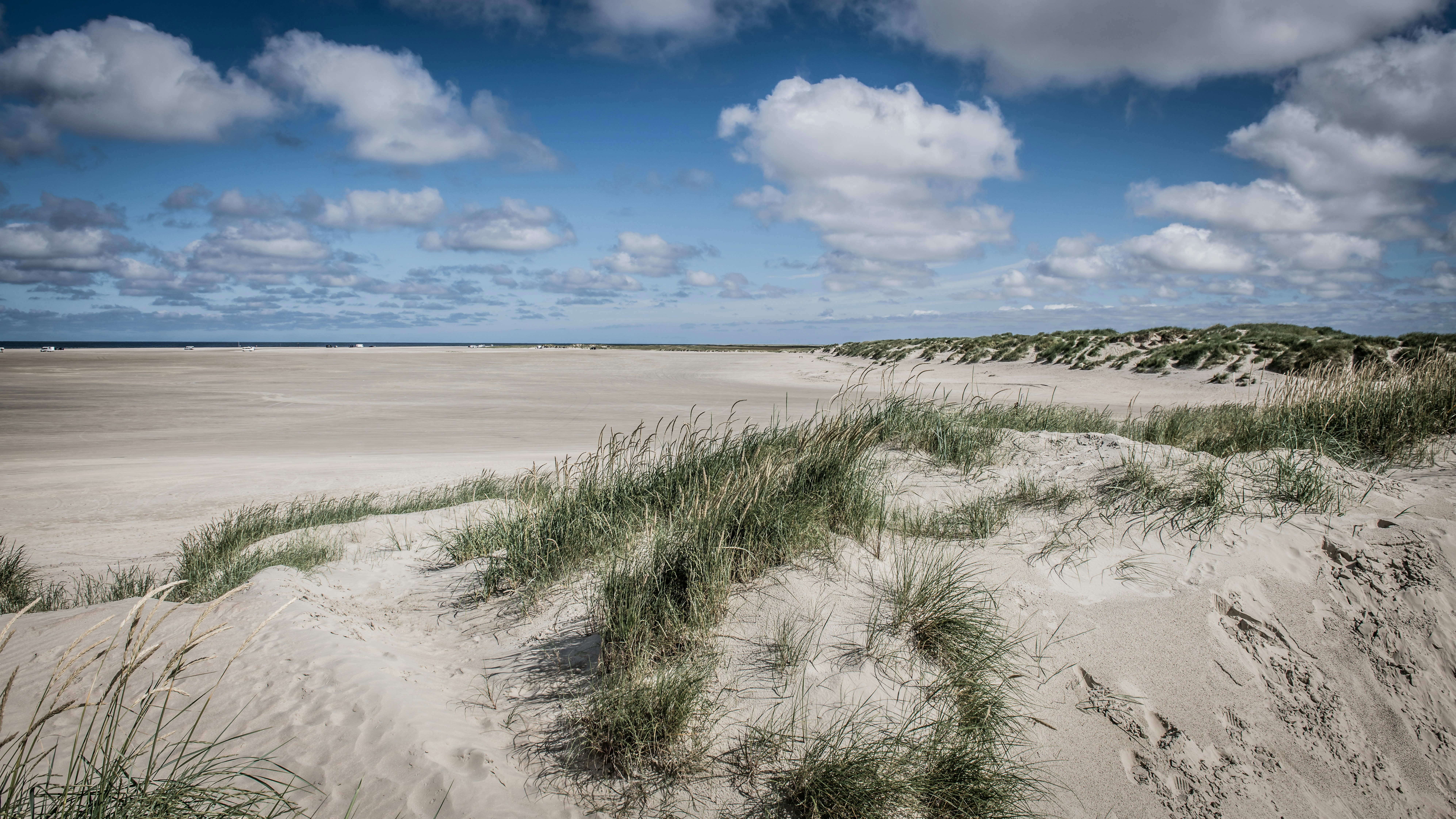 Photo by hamburgmeinefreundin