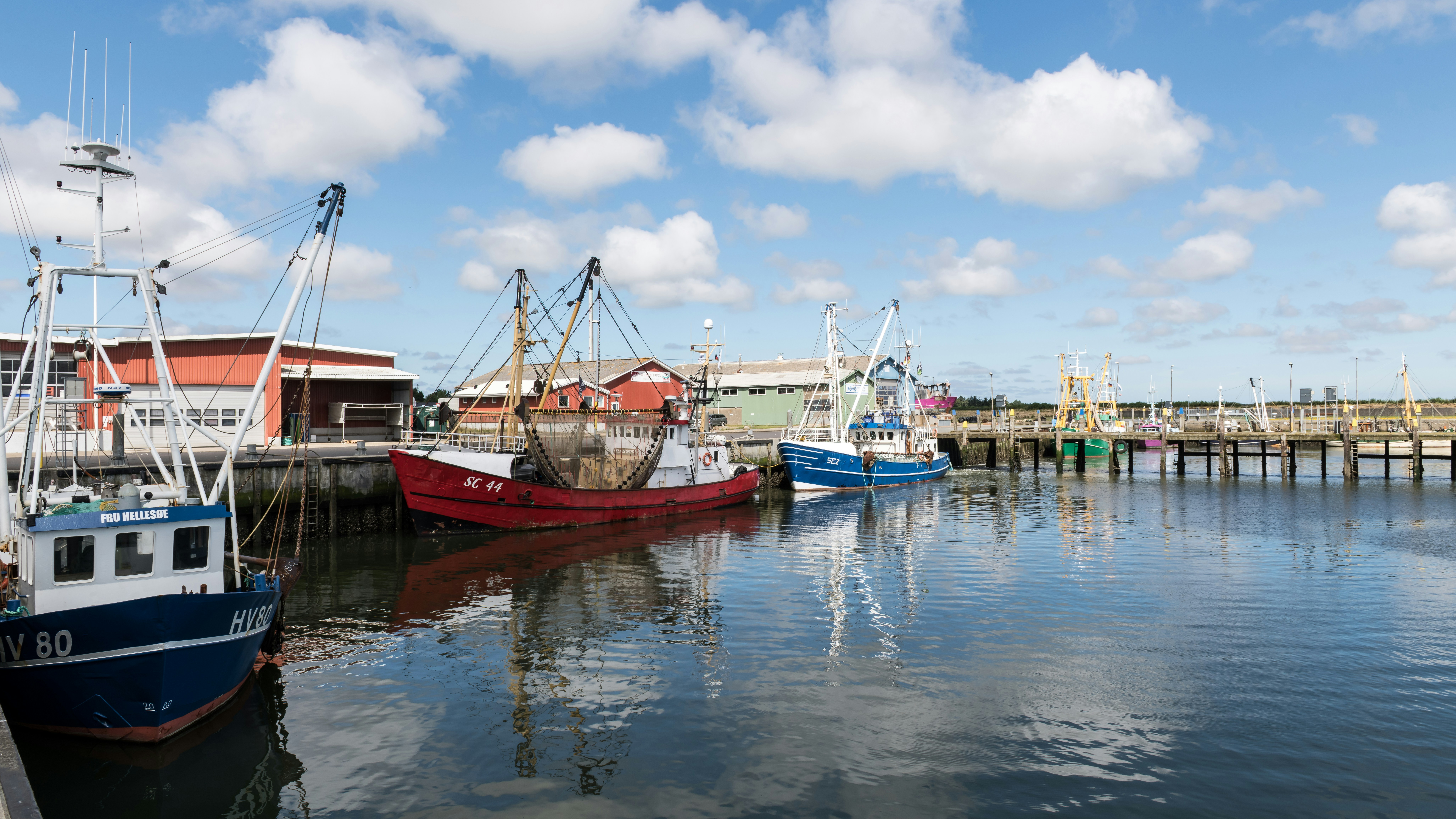 Photo by hamburgmeinefreundin