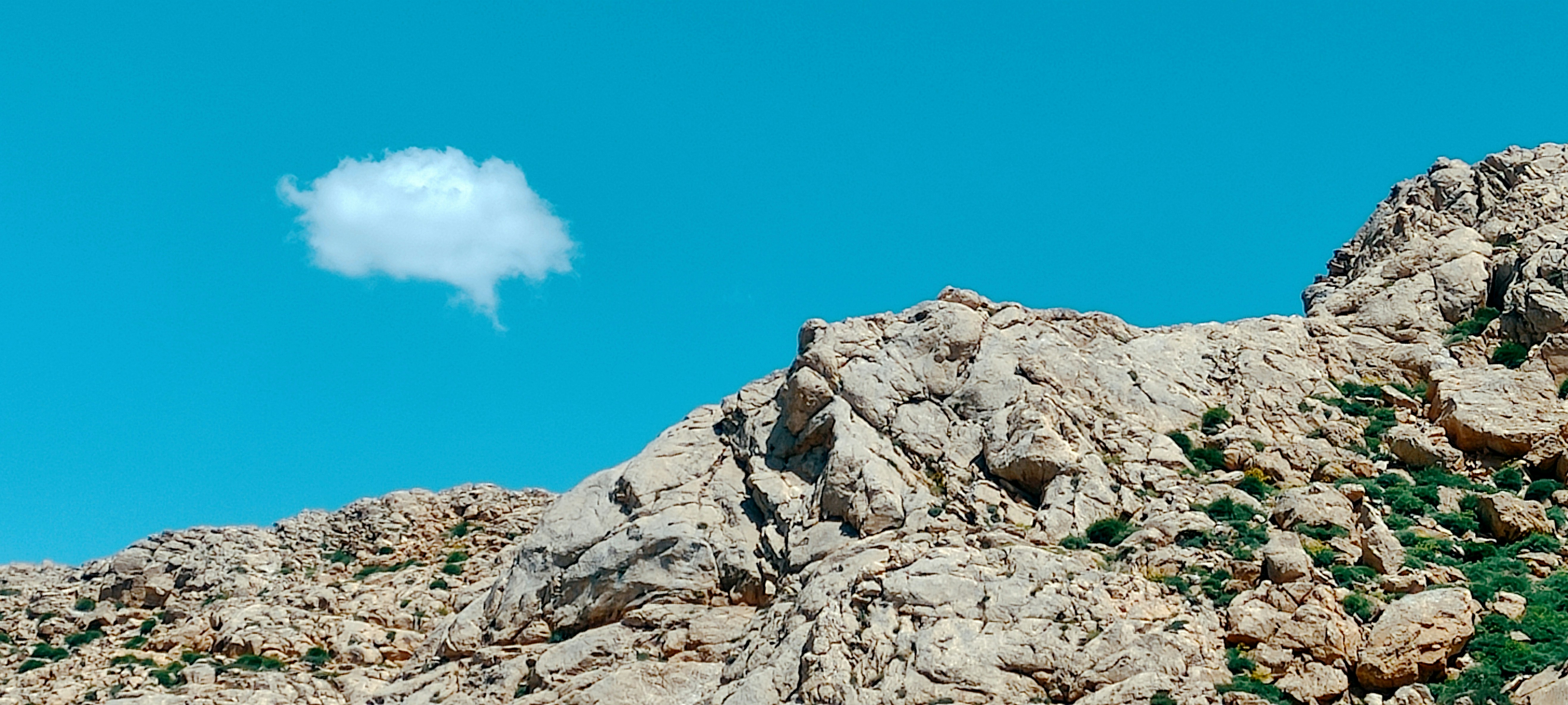 Photo by rashedpaykary