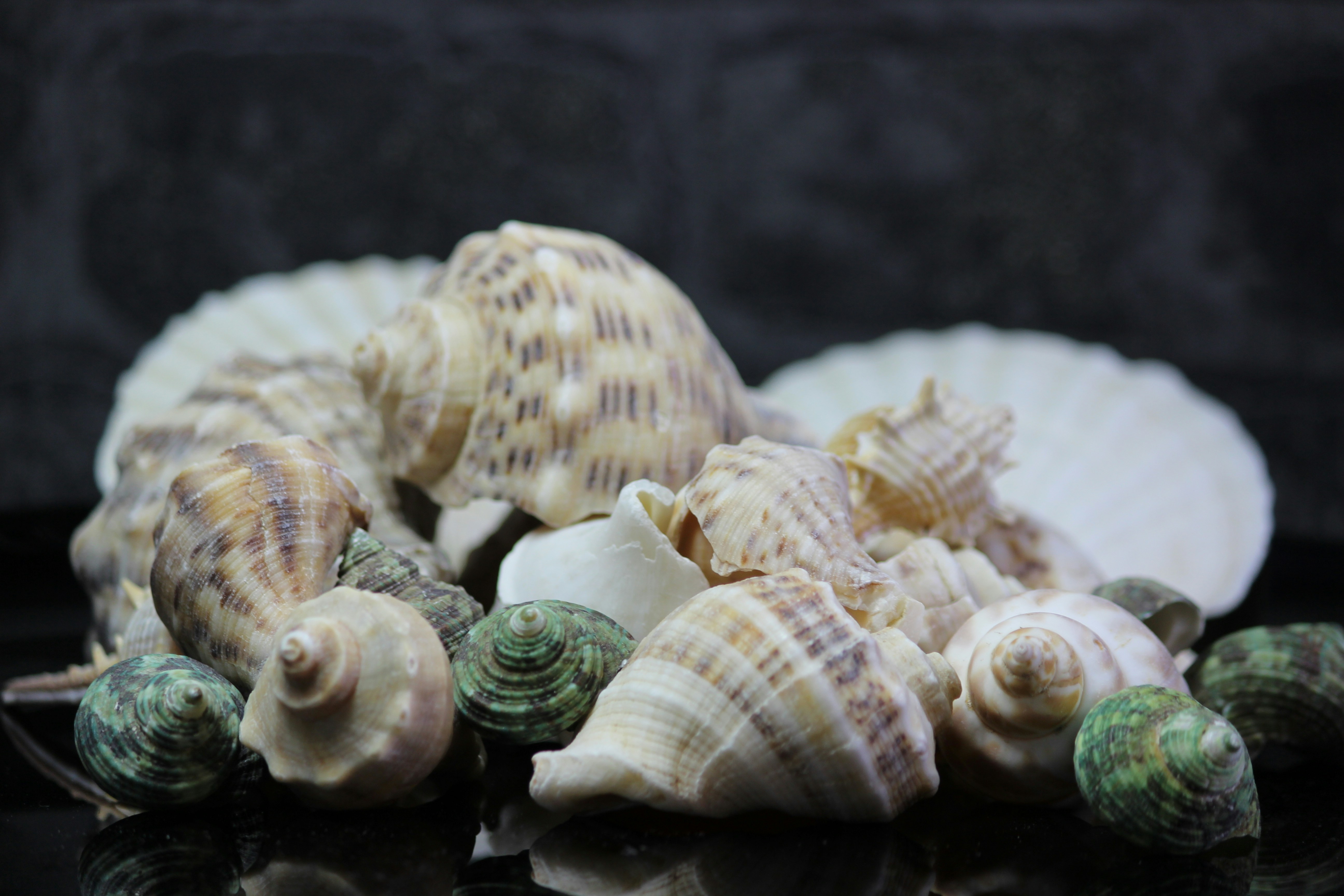 Photo by fotografialuivlad