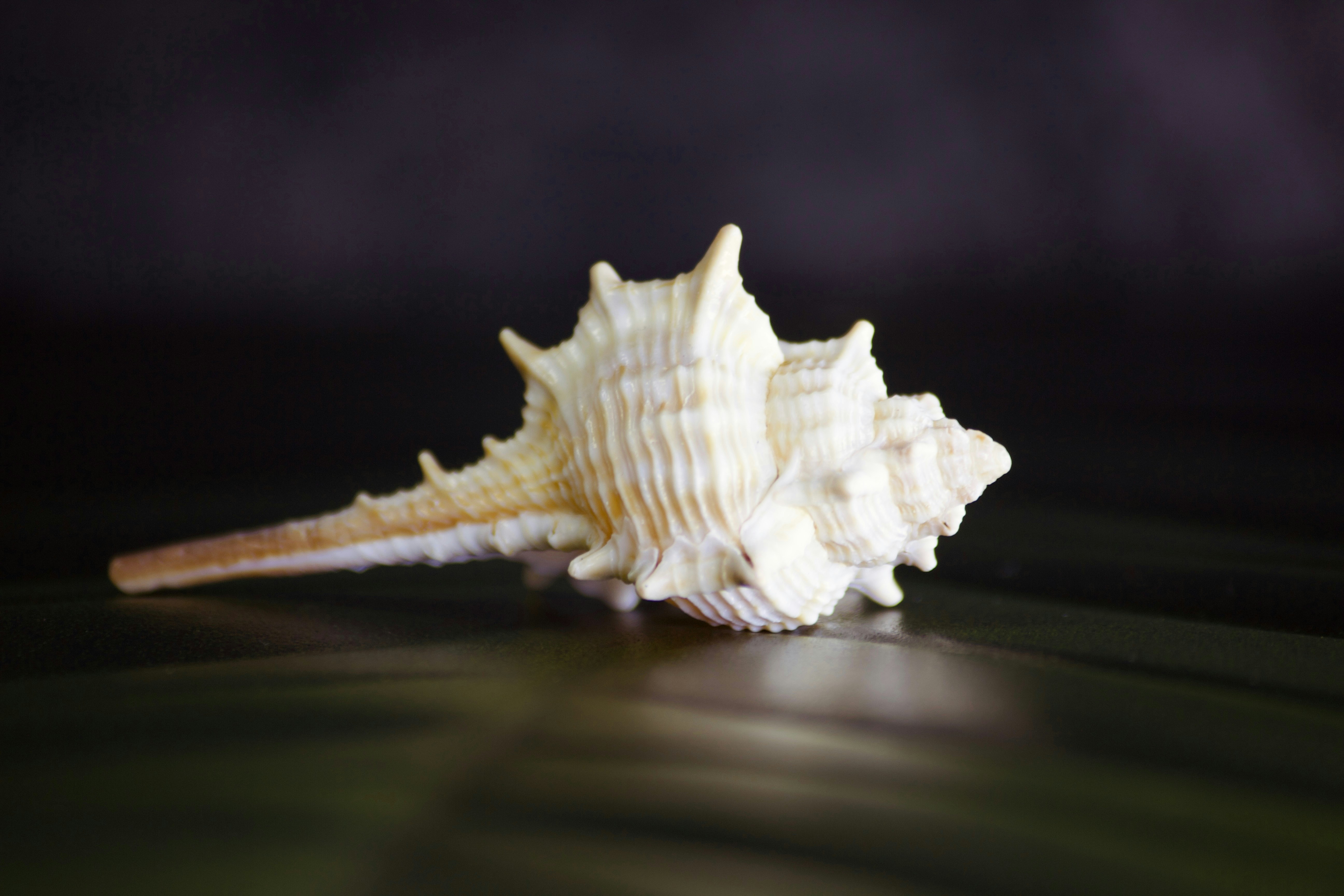 Photo by fotografialuivlad