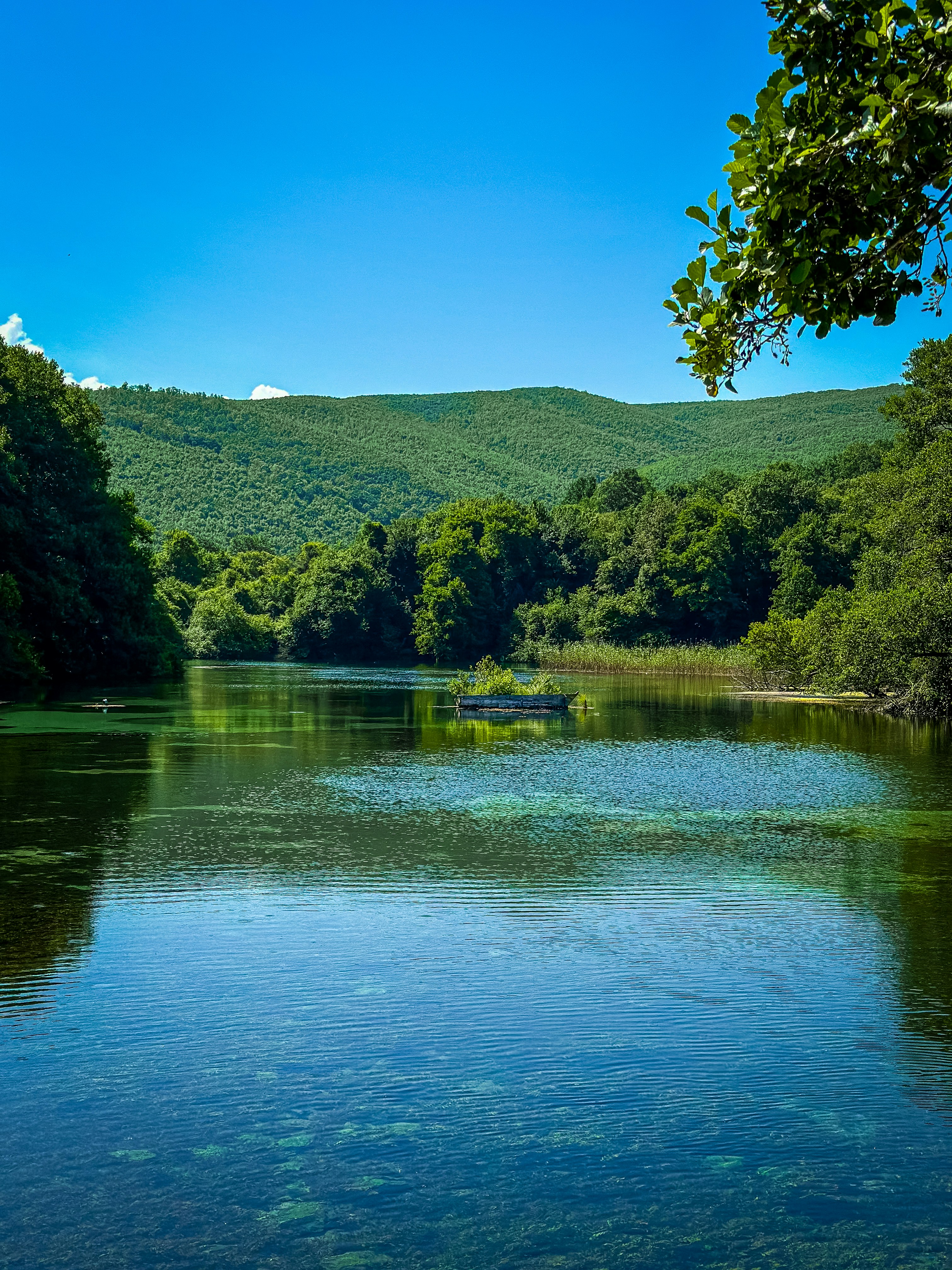 Photo by gamzeteoman